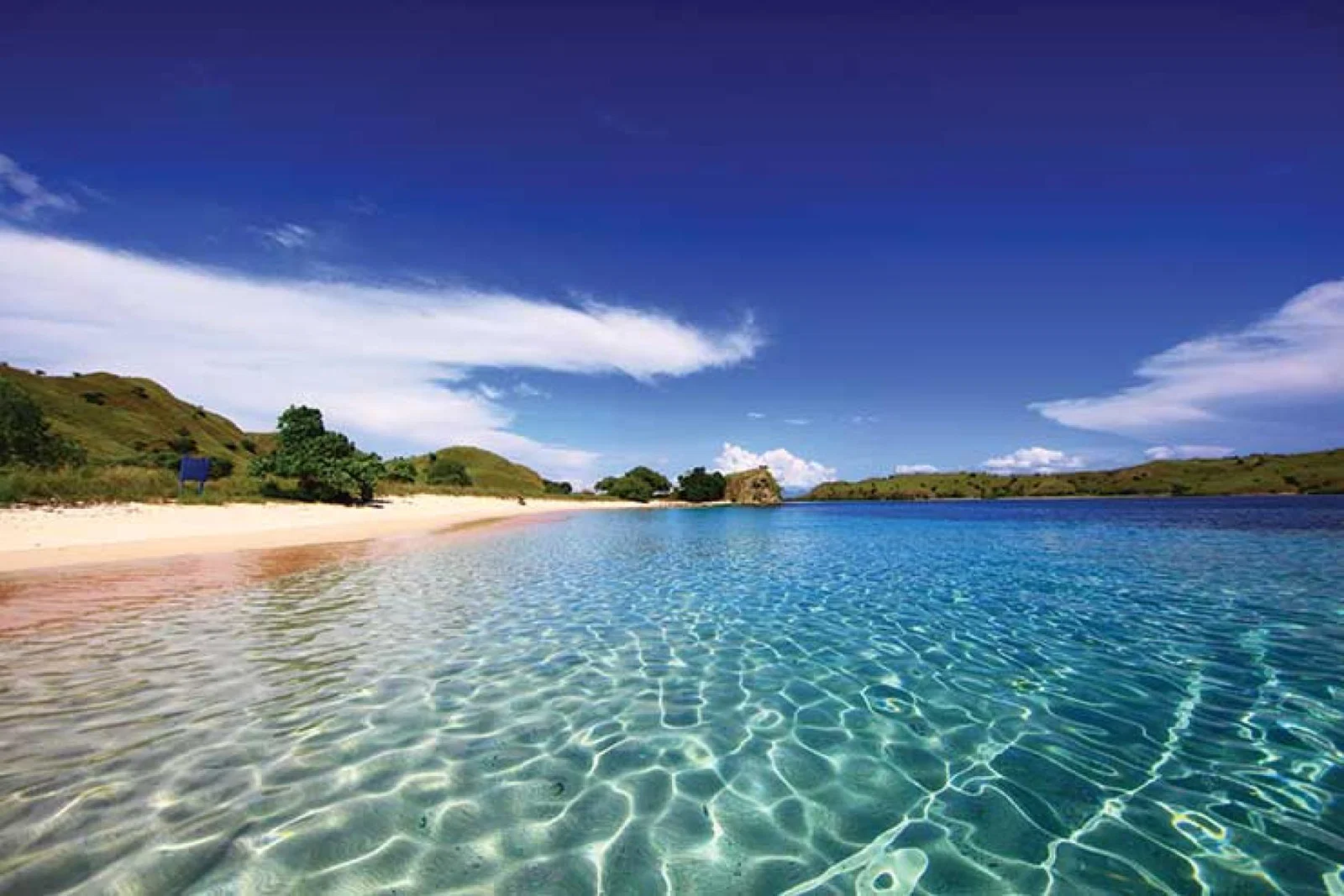 Flores pink beach komodo