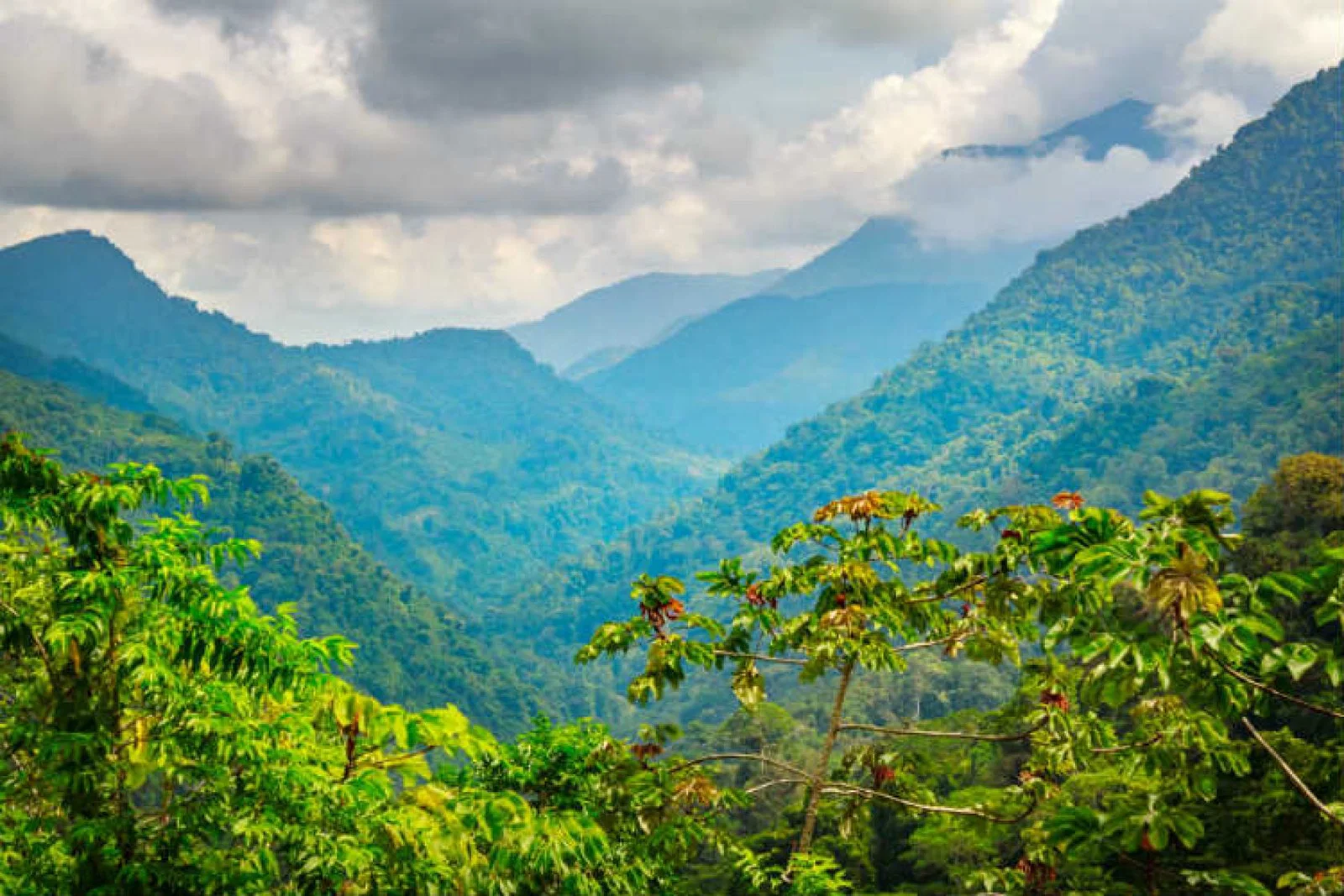 Colombia Mountains iStock-501625240.jpg