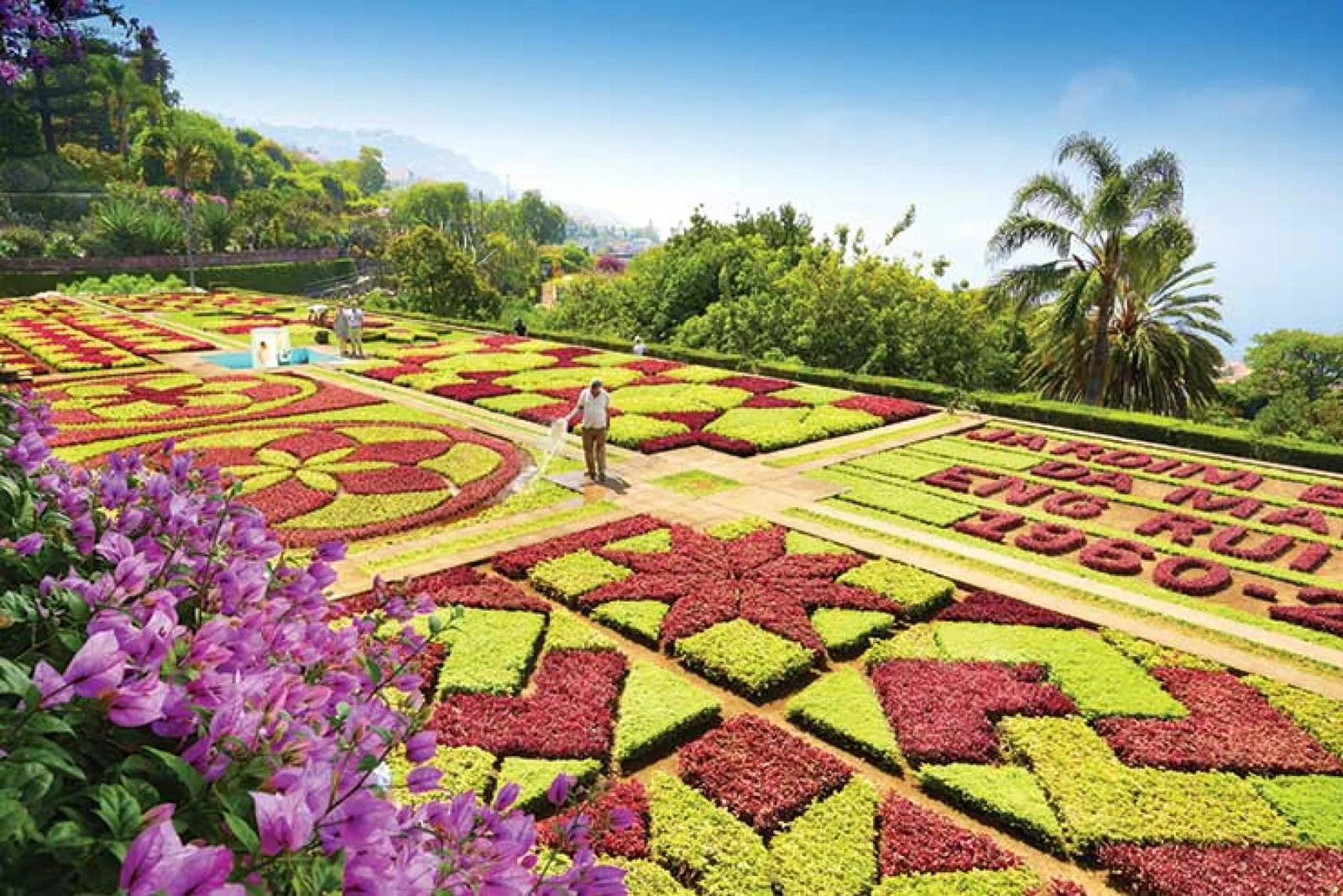 Madeira has tightened Covid rules within the island