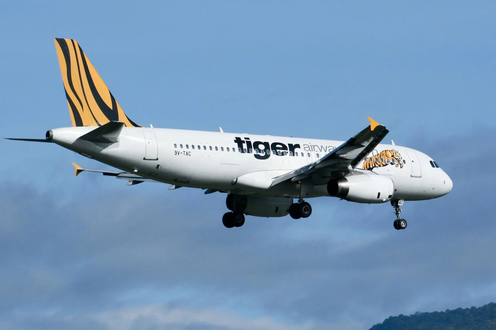 Tigerair.jpg