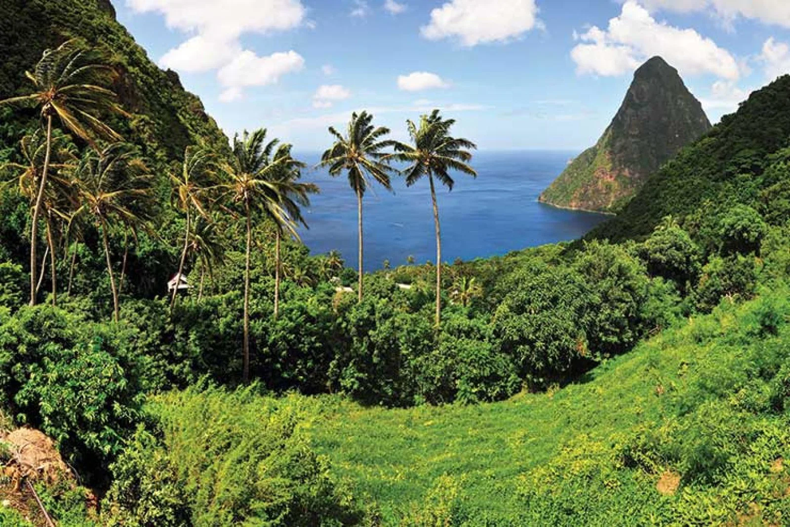 Wearing face masks is optional on the island but remains “highly recommended” (Pic:iStock)