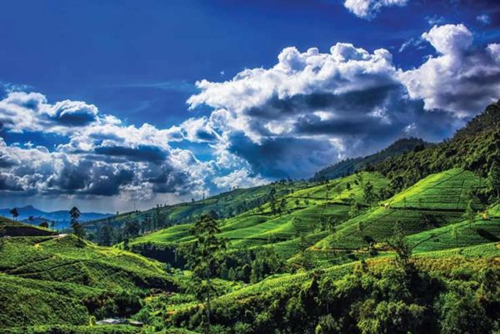 Kuoni has a new property in Sri Lanka's hill country