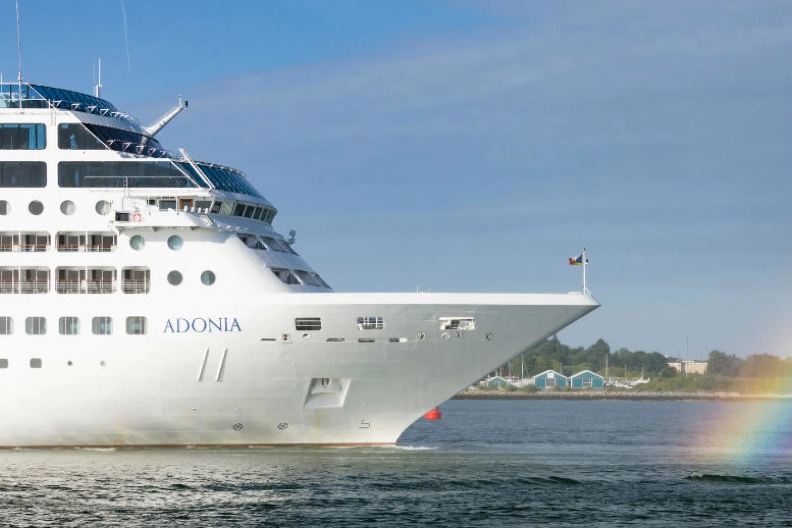Adonia .jpg