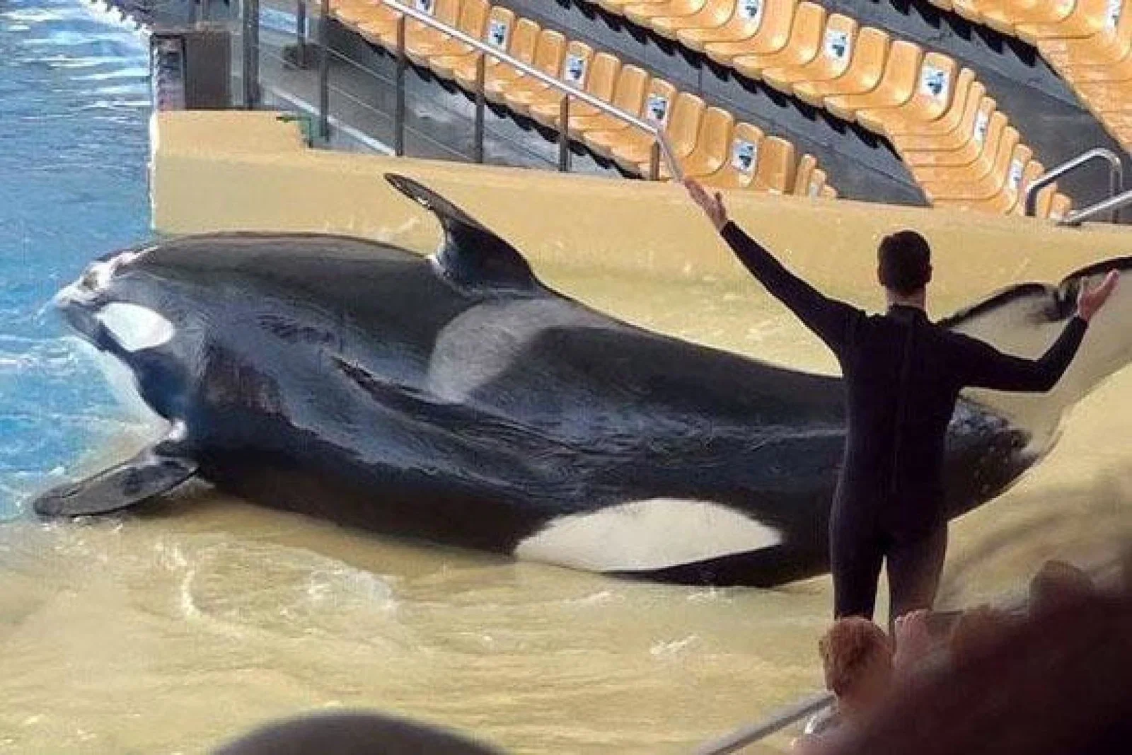 Loro Parque.jpg