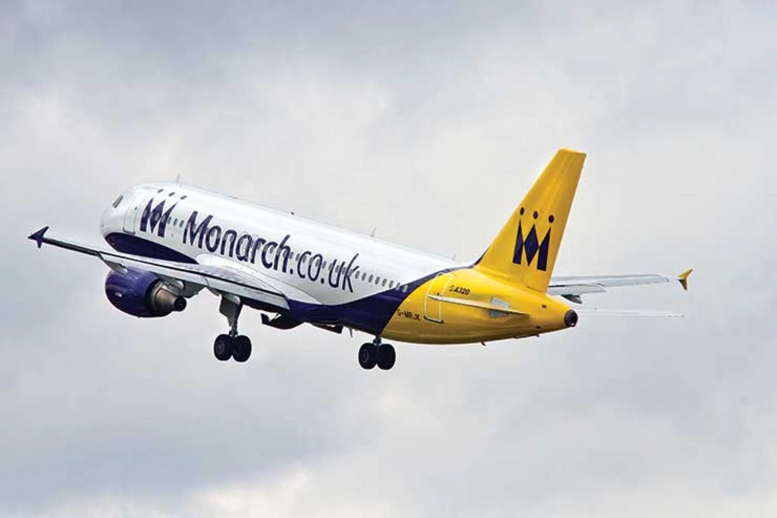 Monarch flies into the distance