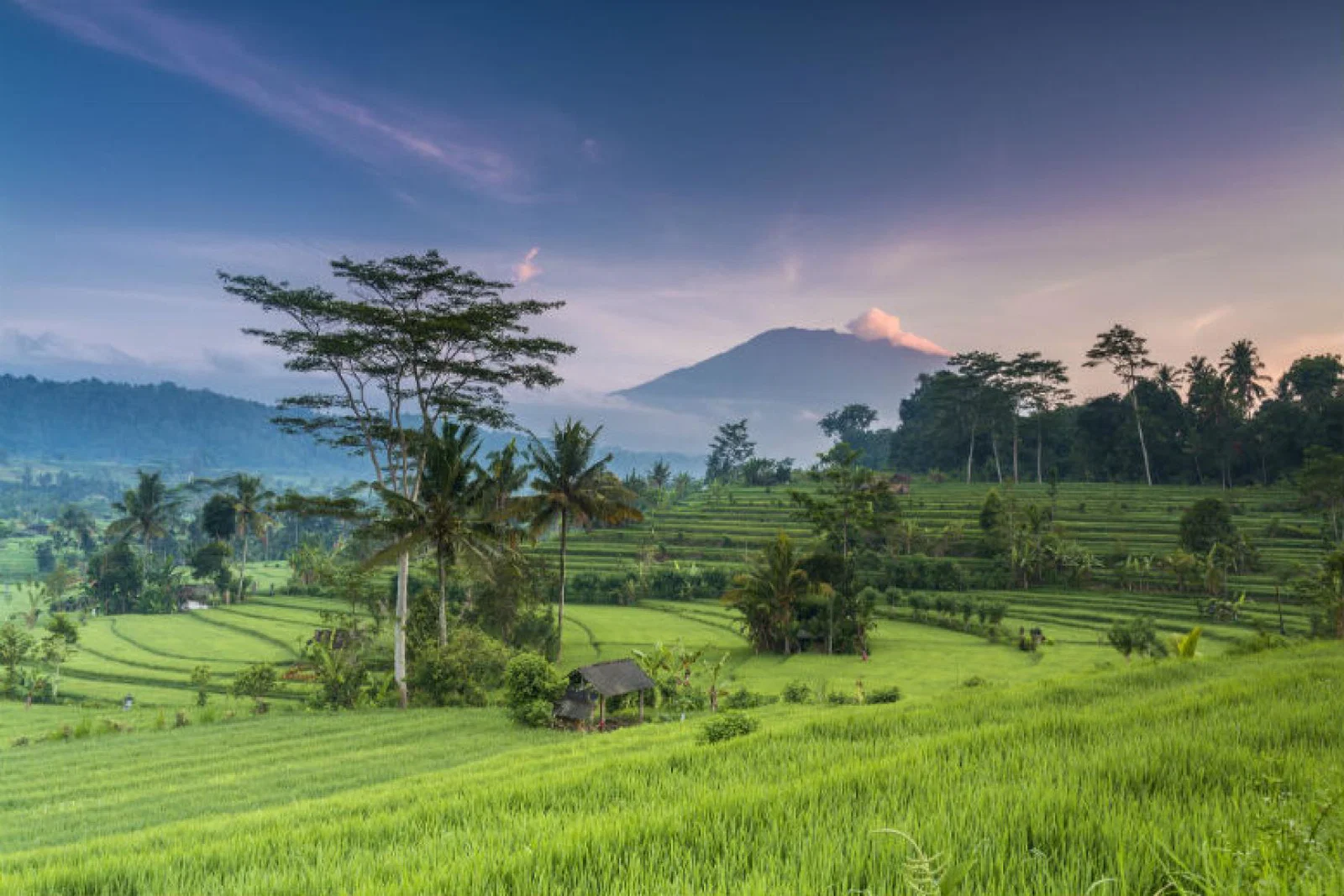 Bali has reopened to UK visitors