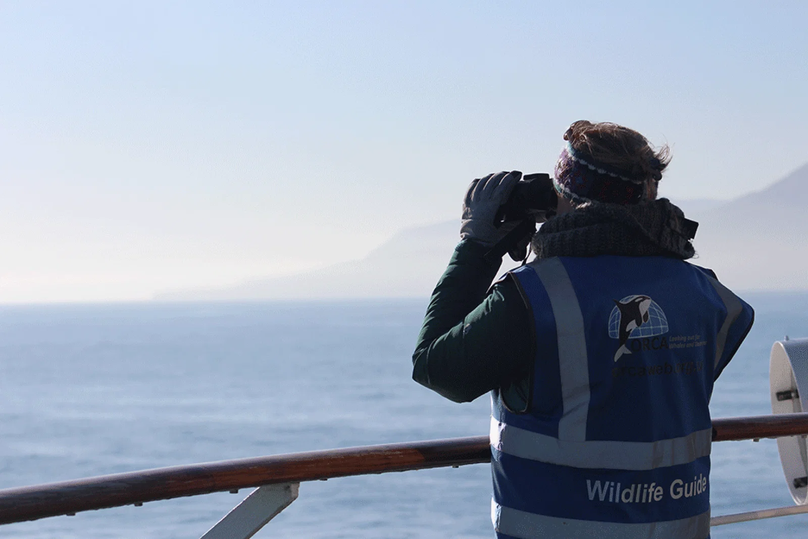 ORCA---Wildlife-Officer---Silver-Wind.gif