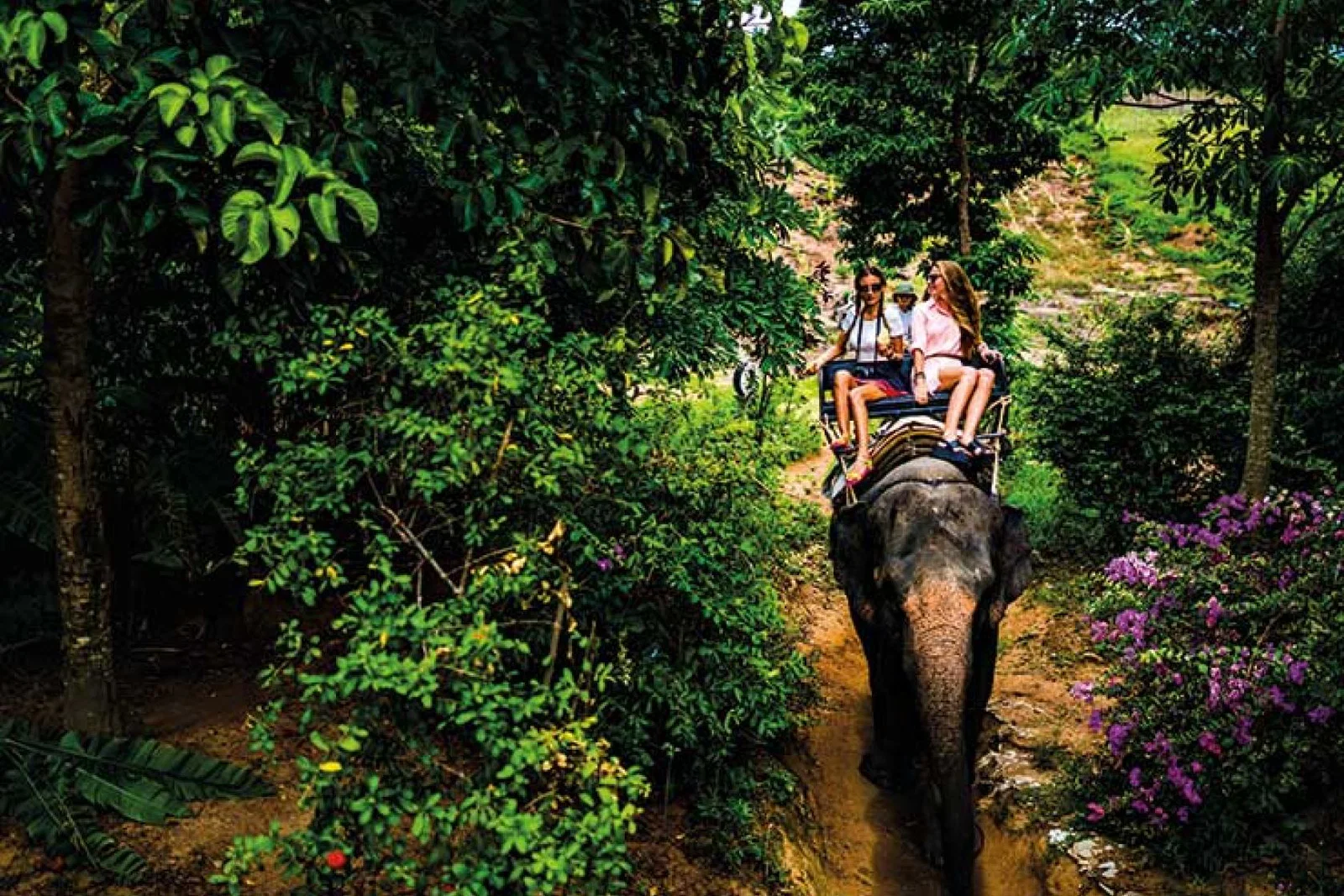 Riding an elephant through the jungle