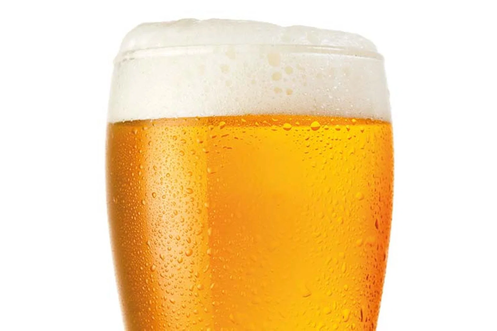 Pint of lager