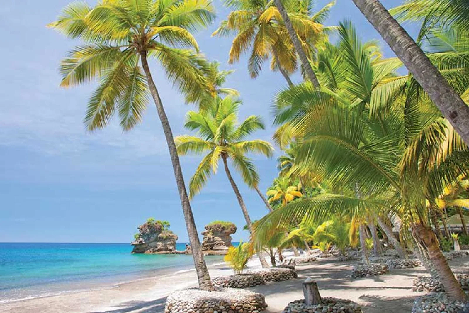 Tropical beach under palm trees