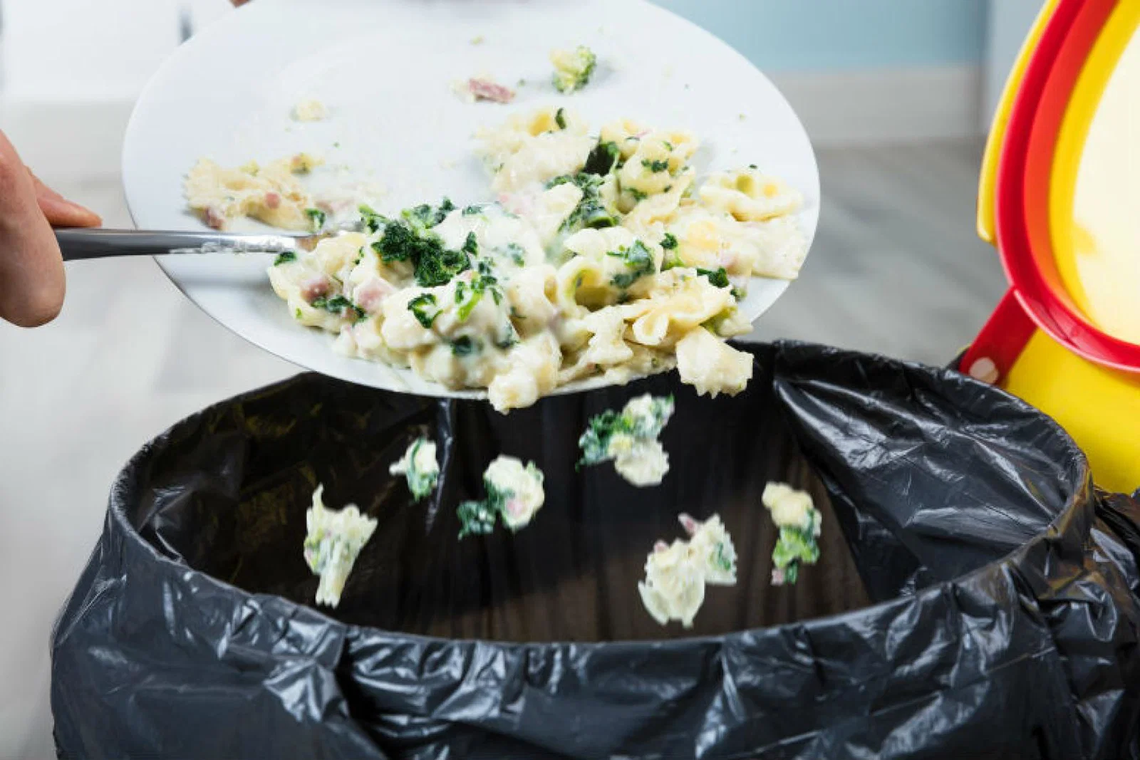food waste.jpg