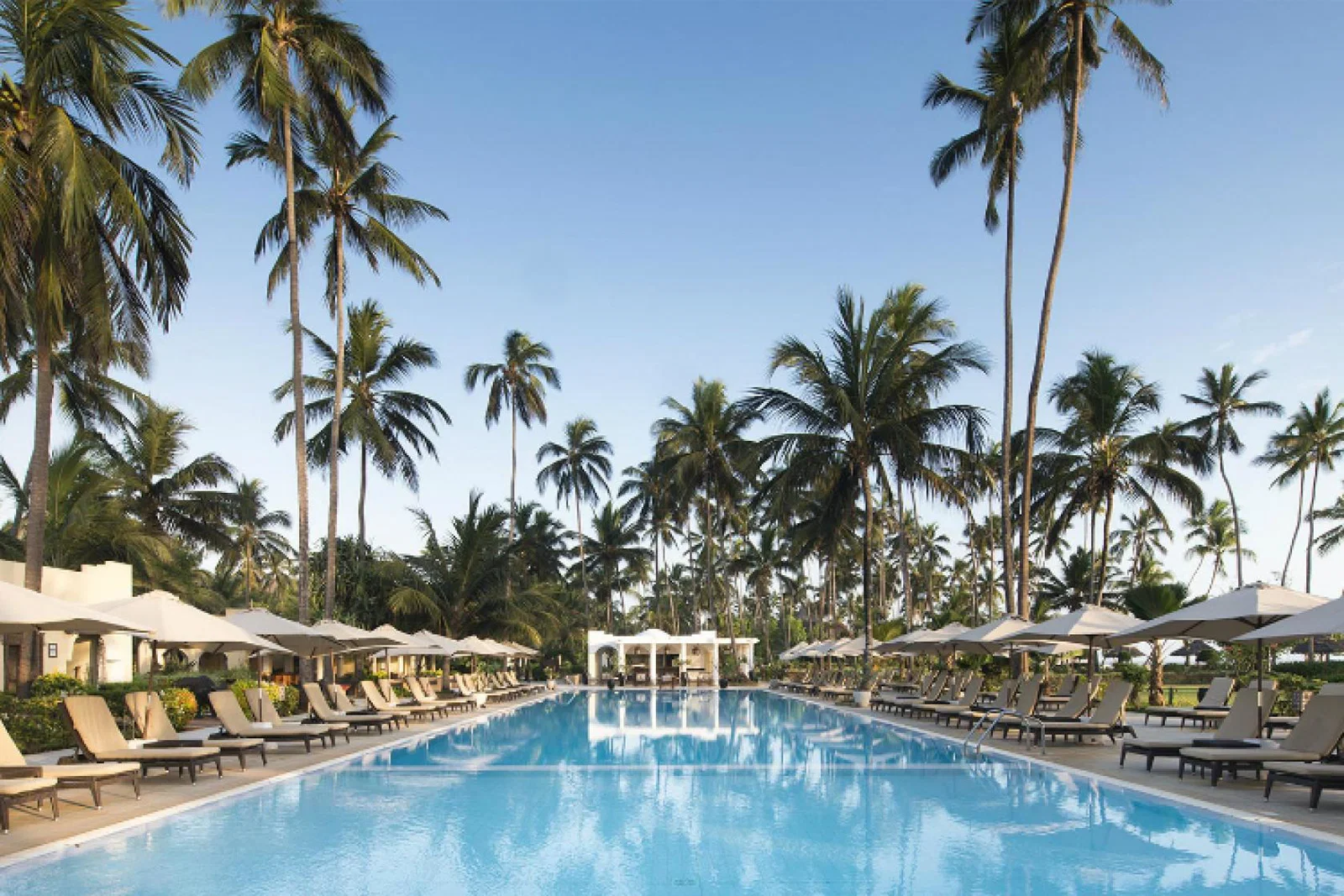 Dreams of Zanzibar.jpg