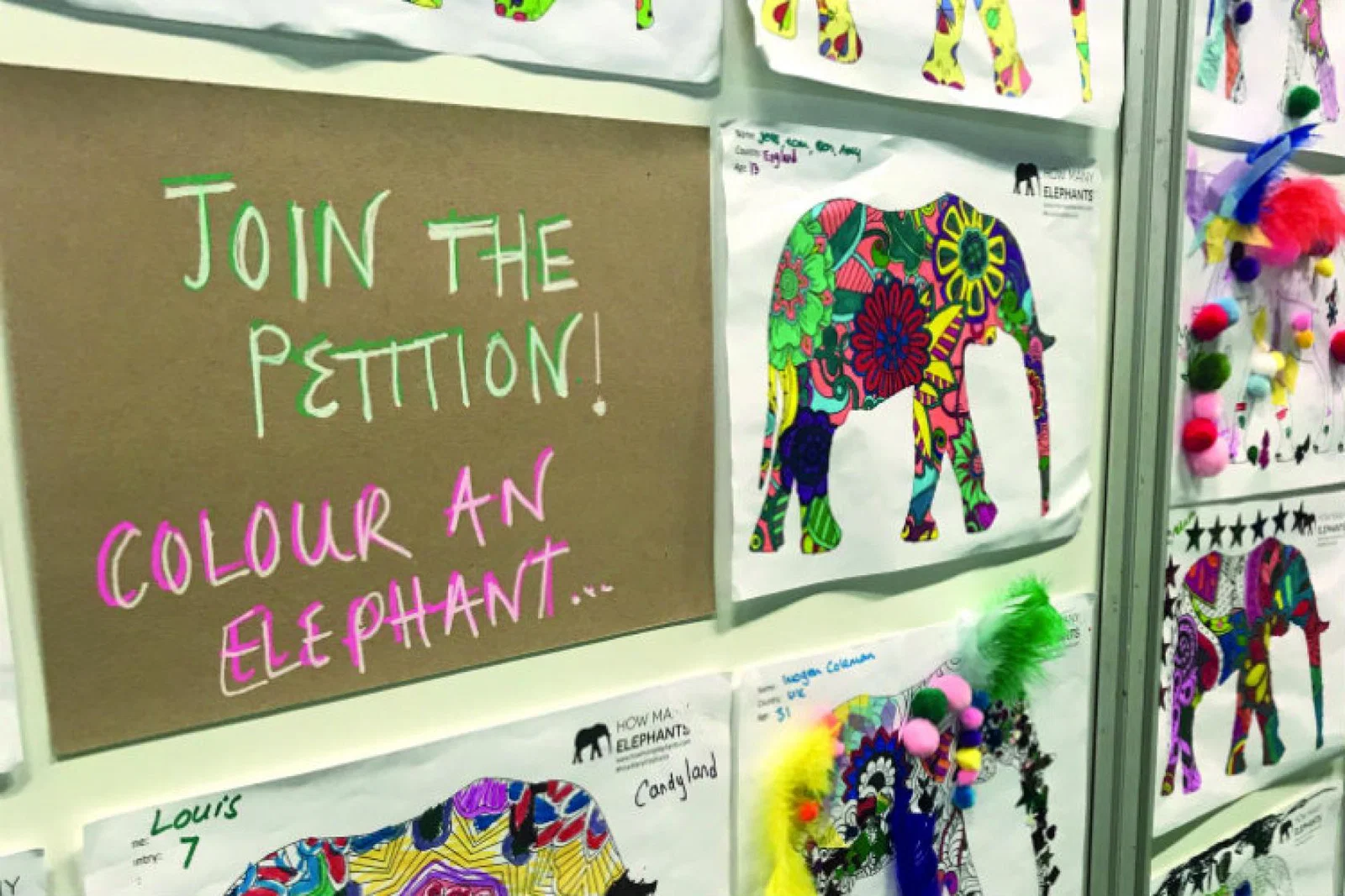 Holly Budge How Many Elephants.jpg
