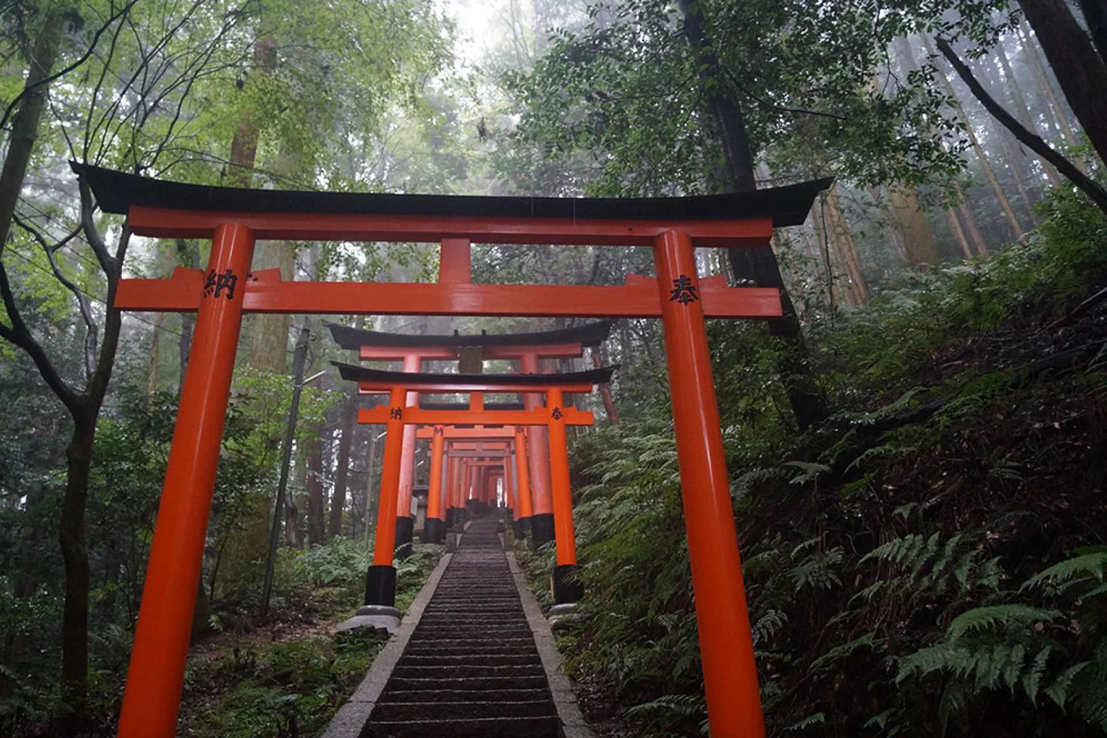 Japan