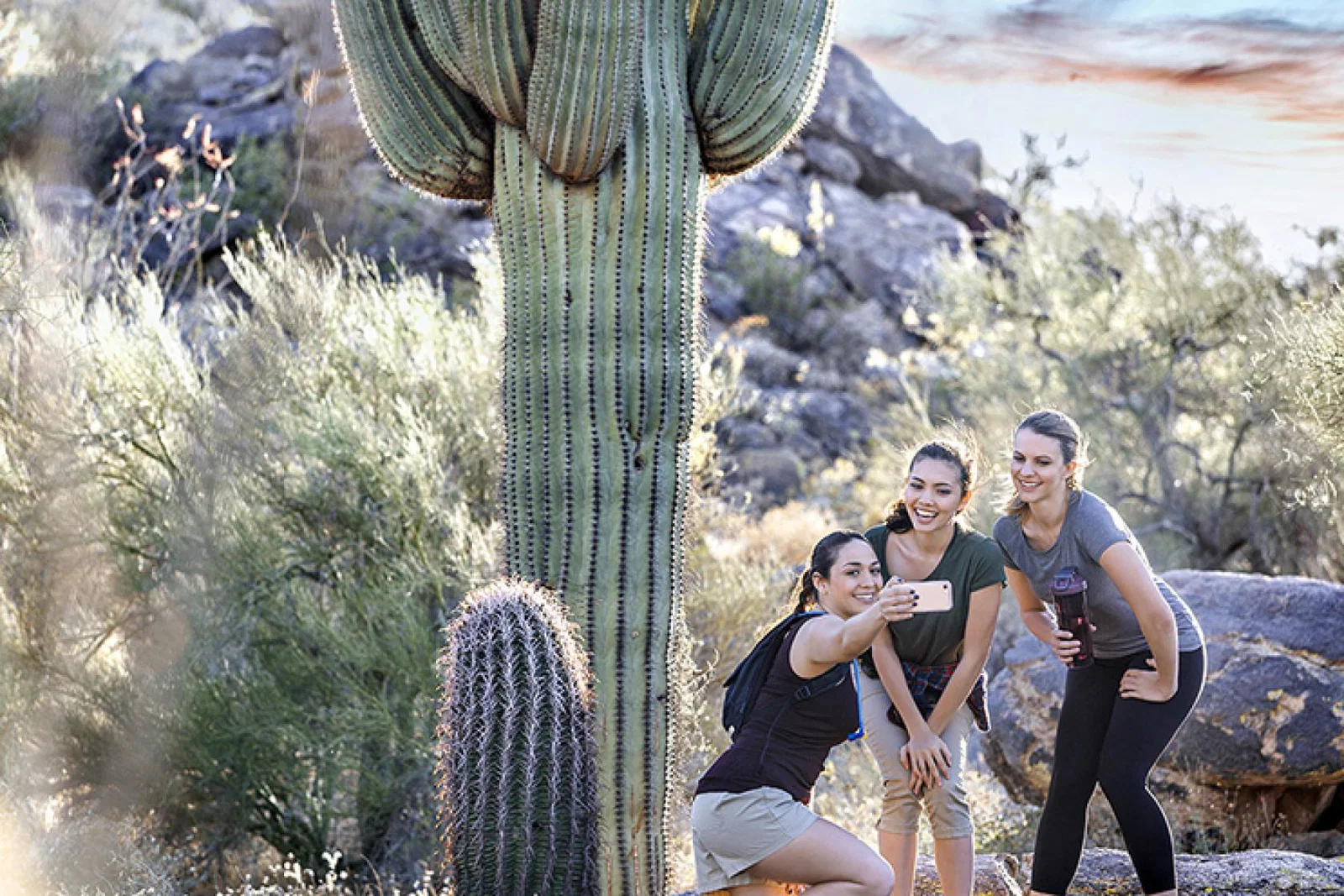 Phoenix Scottsdale Brand USA MegaFam.jpg