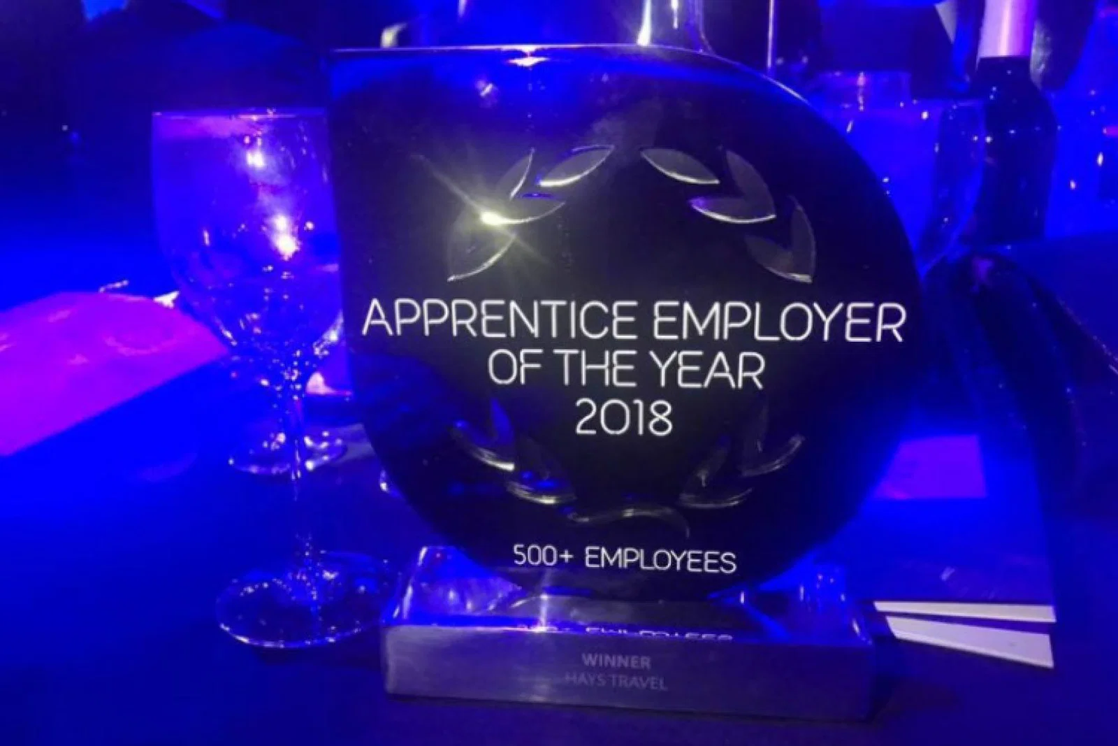 Hays IIP Award.jpg