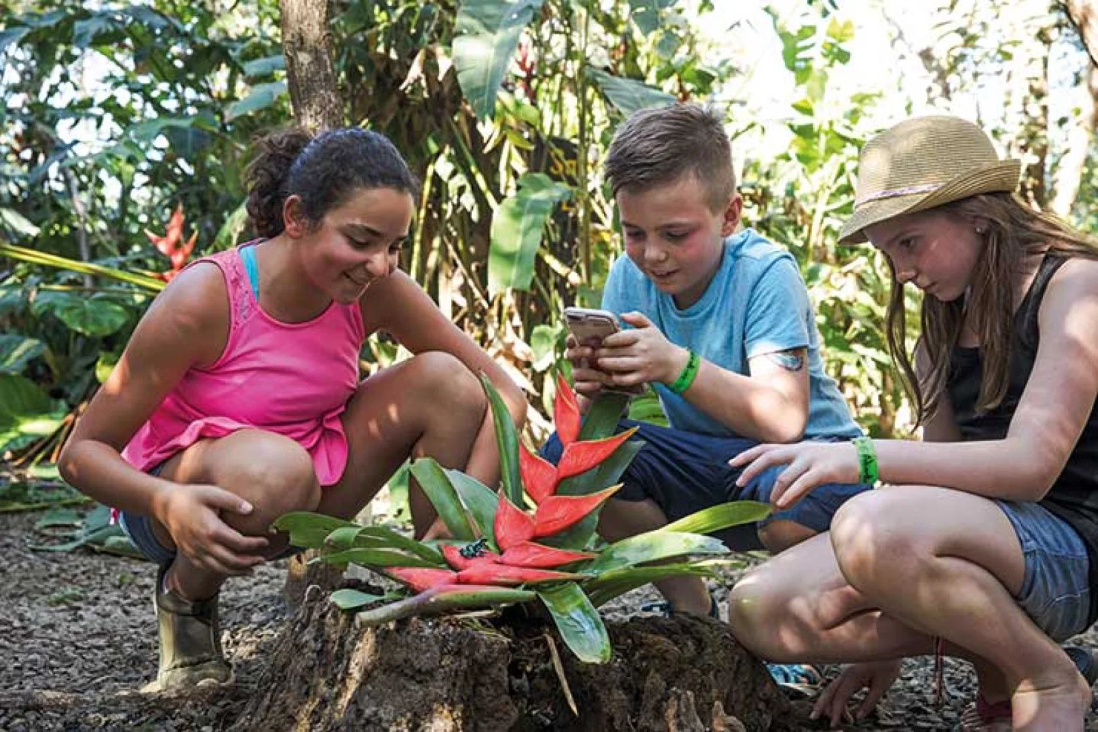 Costa Rica Rincon de la Vieja Kids iNaturalist App Frog