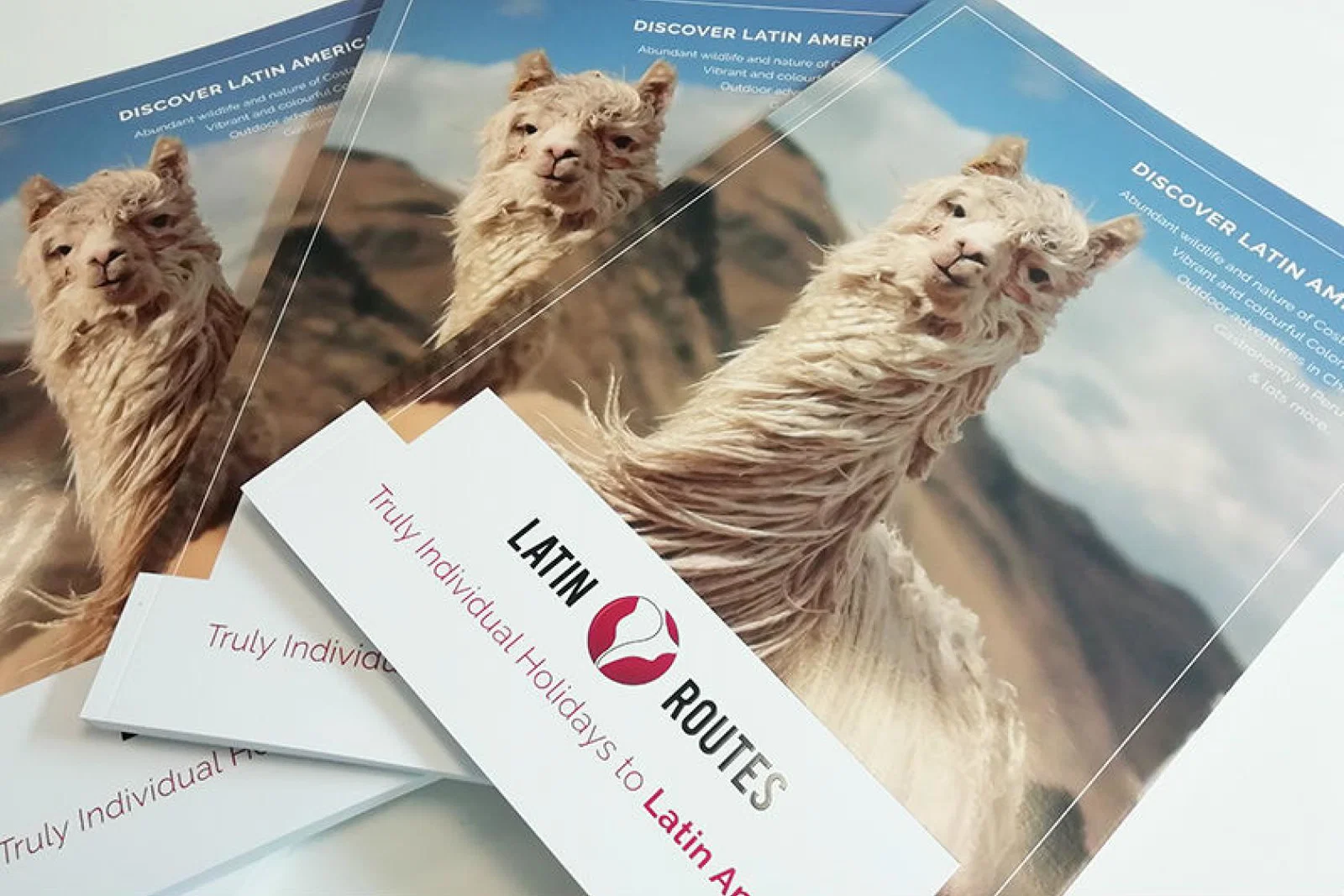 Latin Routes brochure.jpg