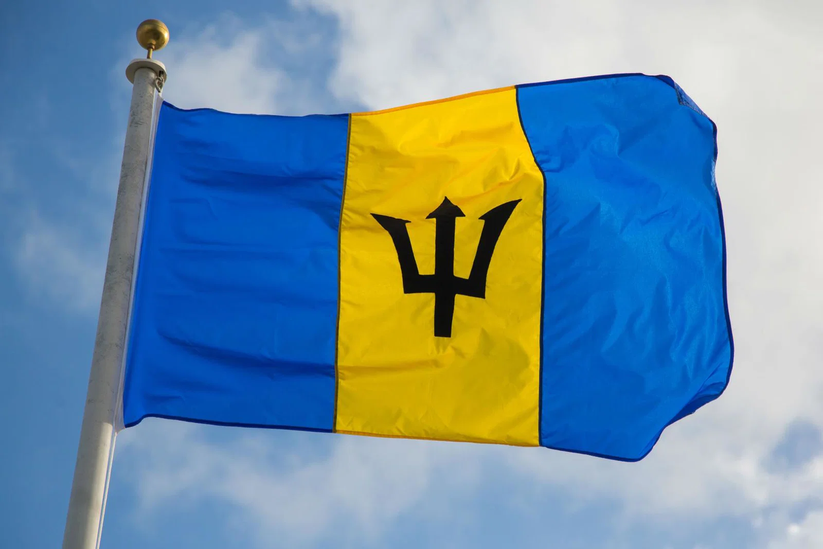 Barbados flag.jpg