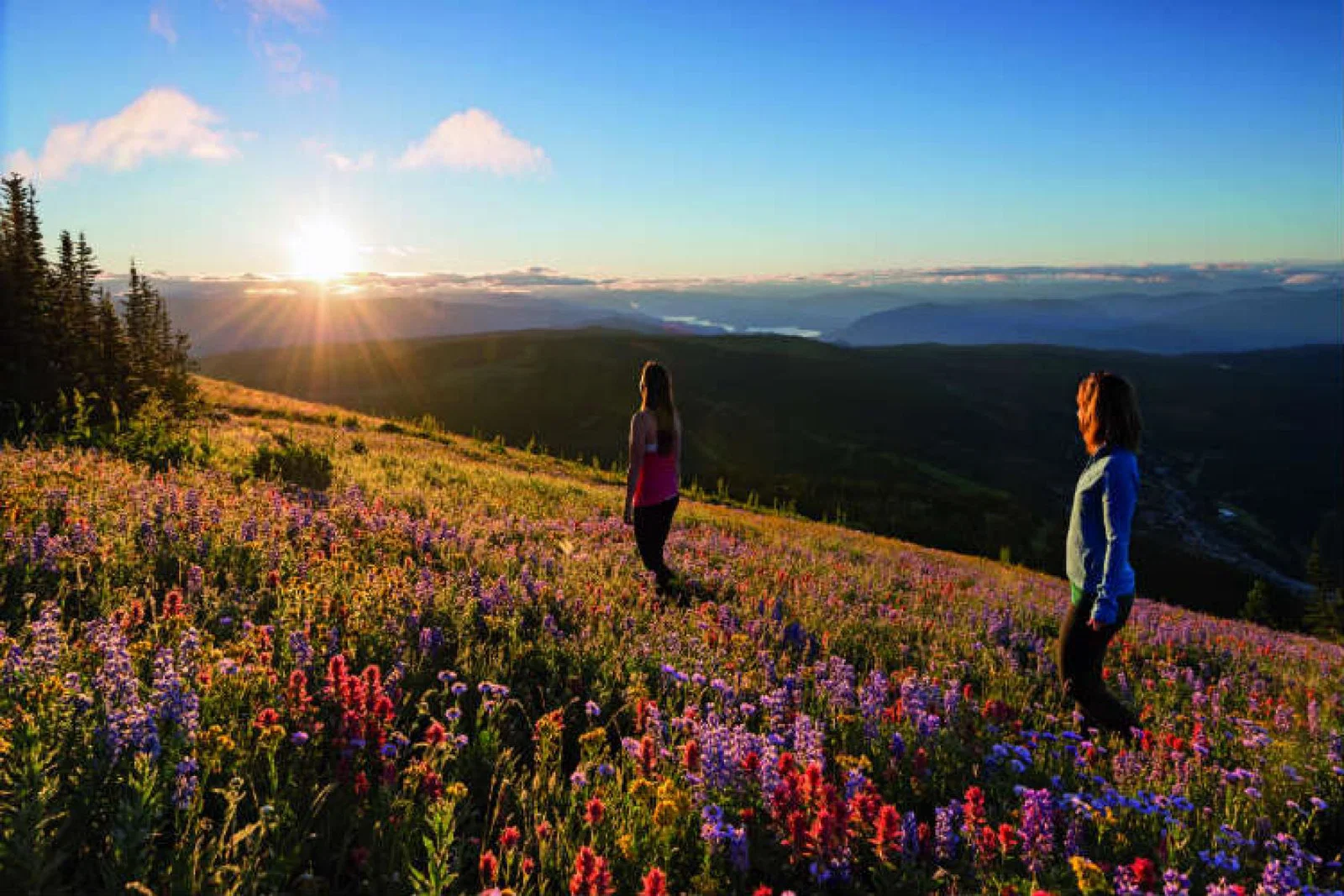 Abta says the new government must provide the travel sector certainty