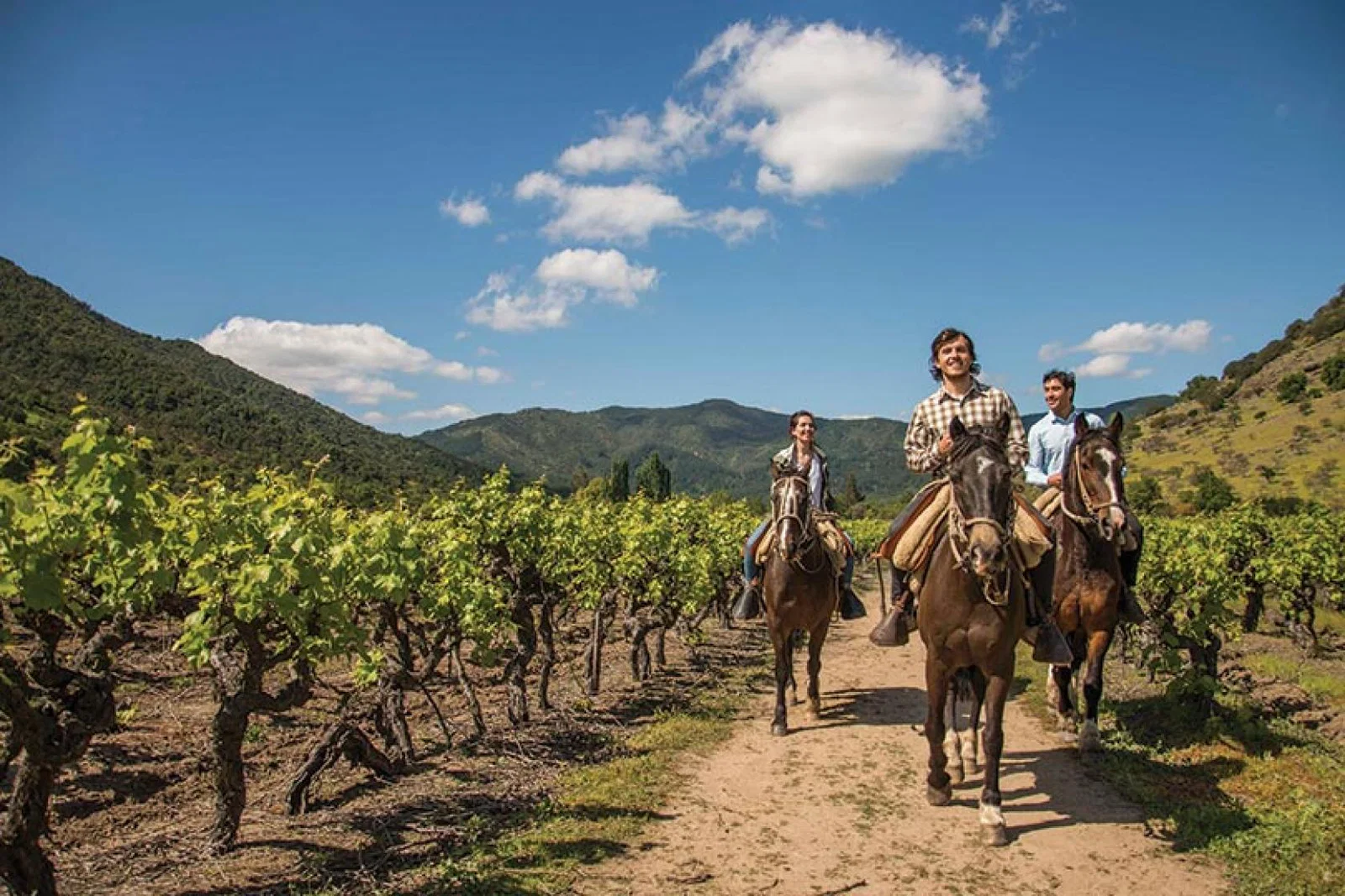 Horseriding in Chilean vineyards