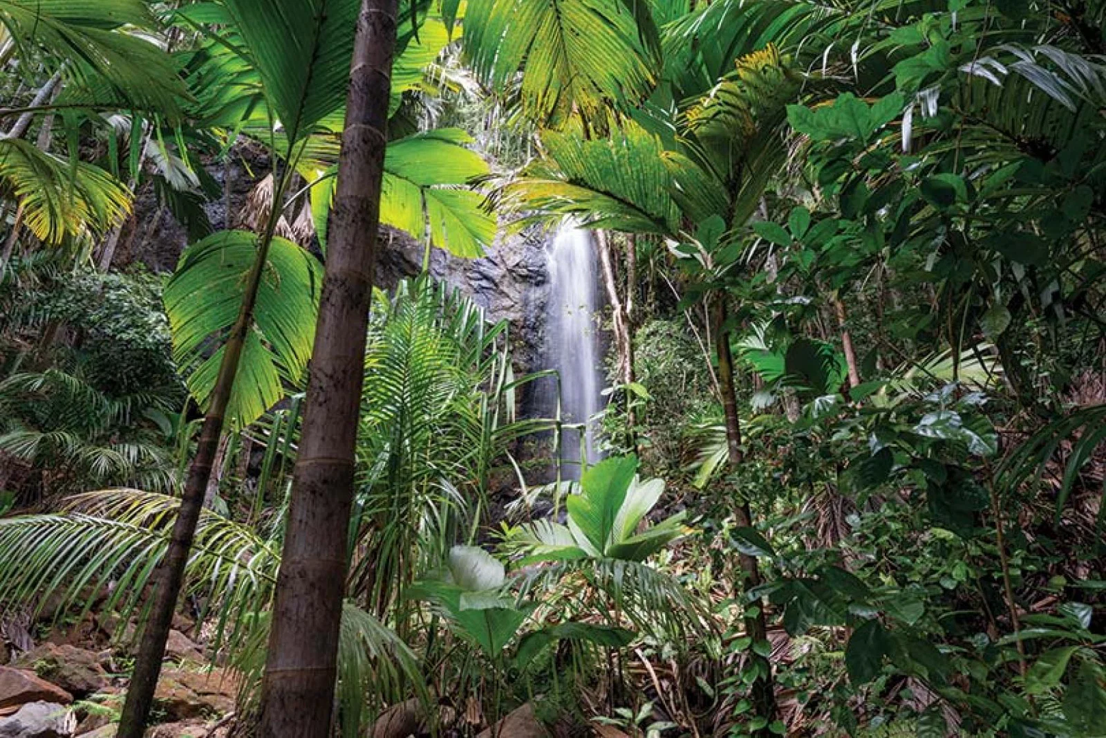The Seychelles will be in easy reach of West Country travellers