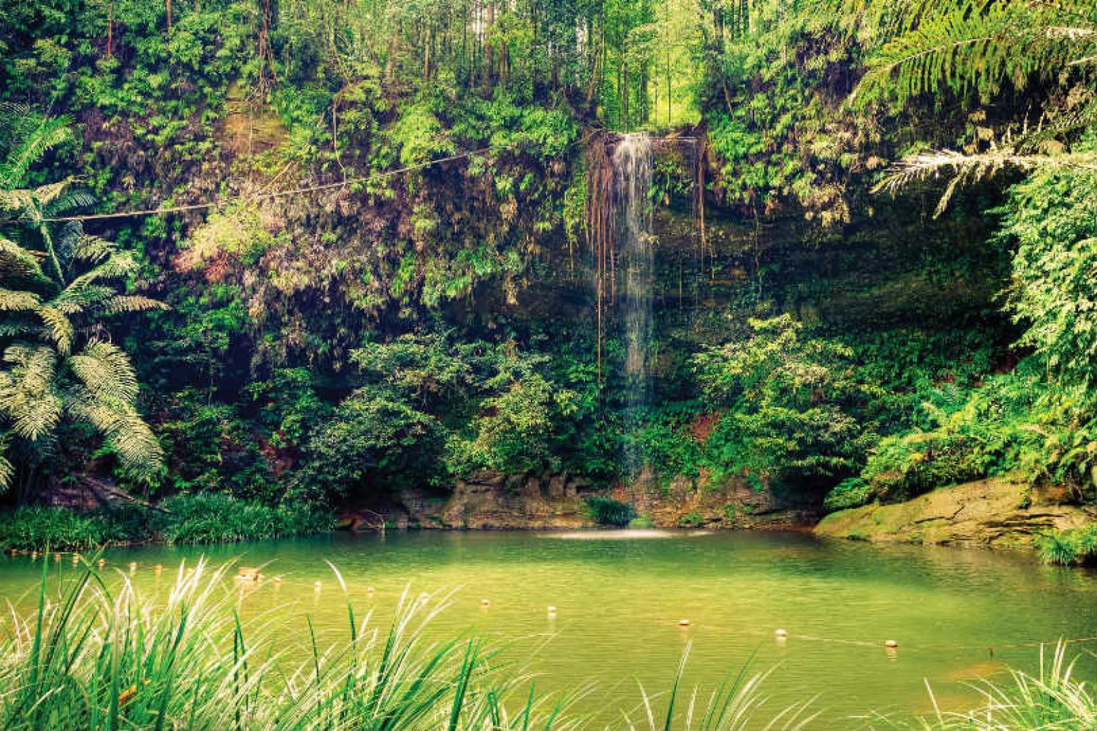 Borneo has entered Titan's top 20 for the first time