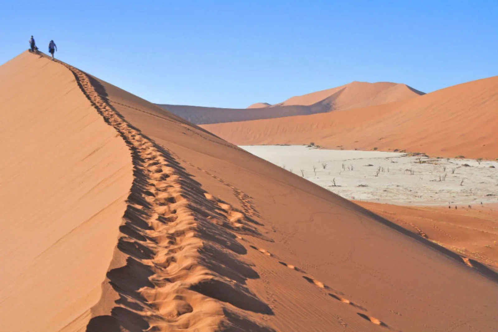 Namibia is famous for its dunes
