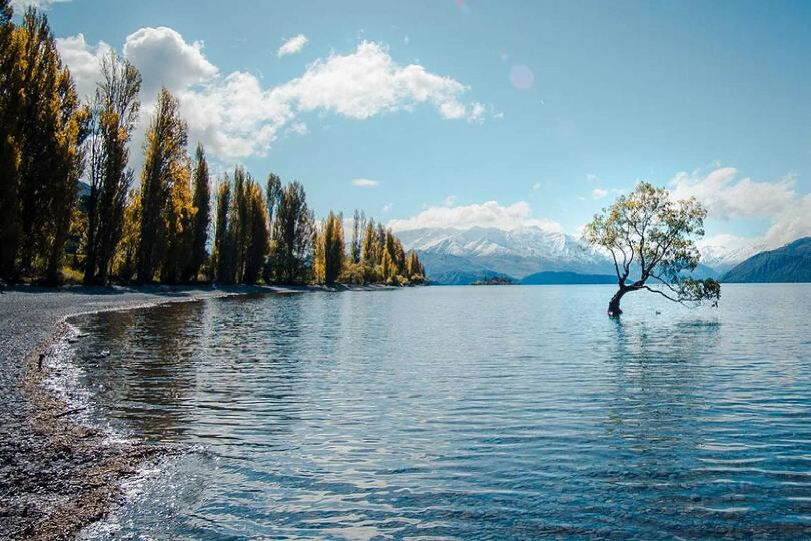 New Zealand currently requires arrivals to spend two weeks in a government-run isolation and quarantine facility (Credit: Laura Smetsers / Unsplash)