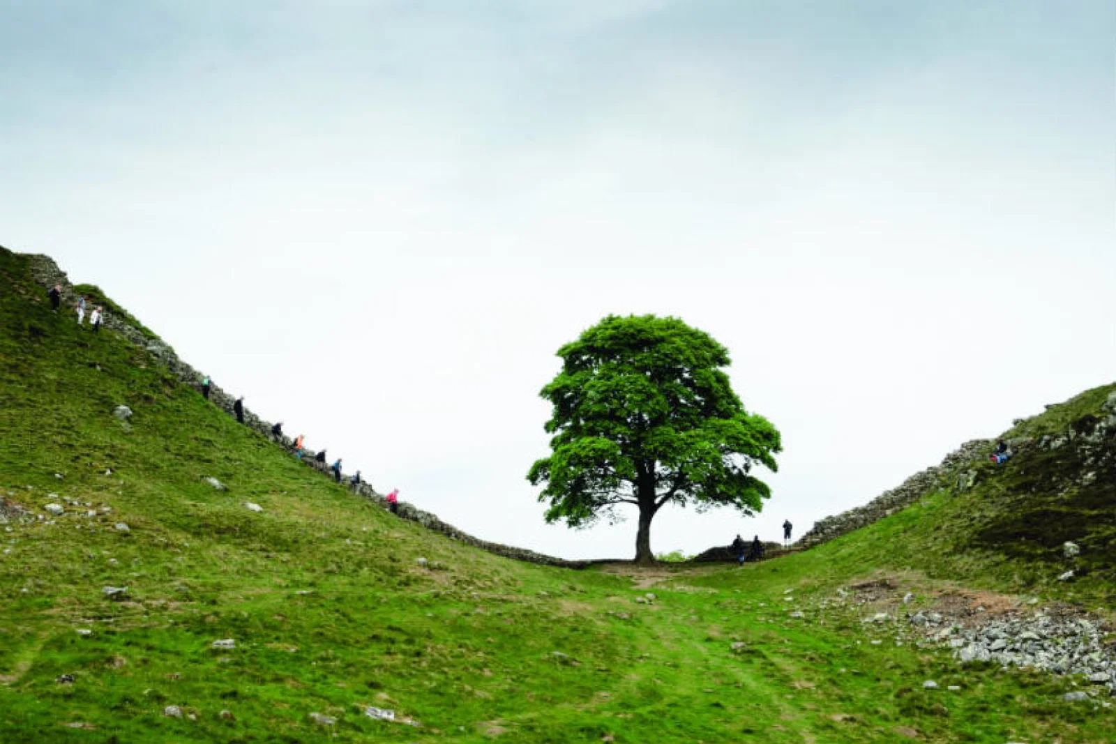 Wilderness Scotland is offering its first tour outside Scotland, in Northumberland