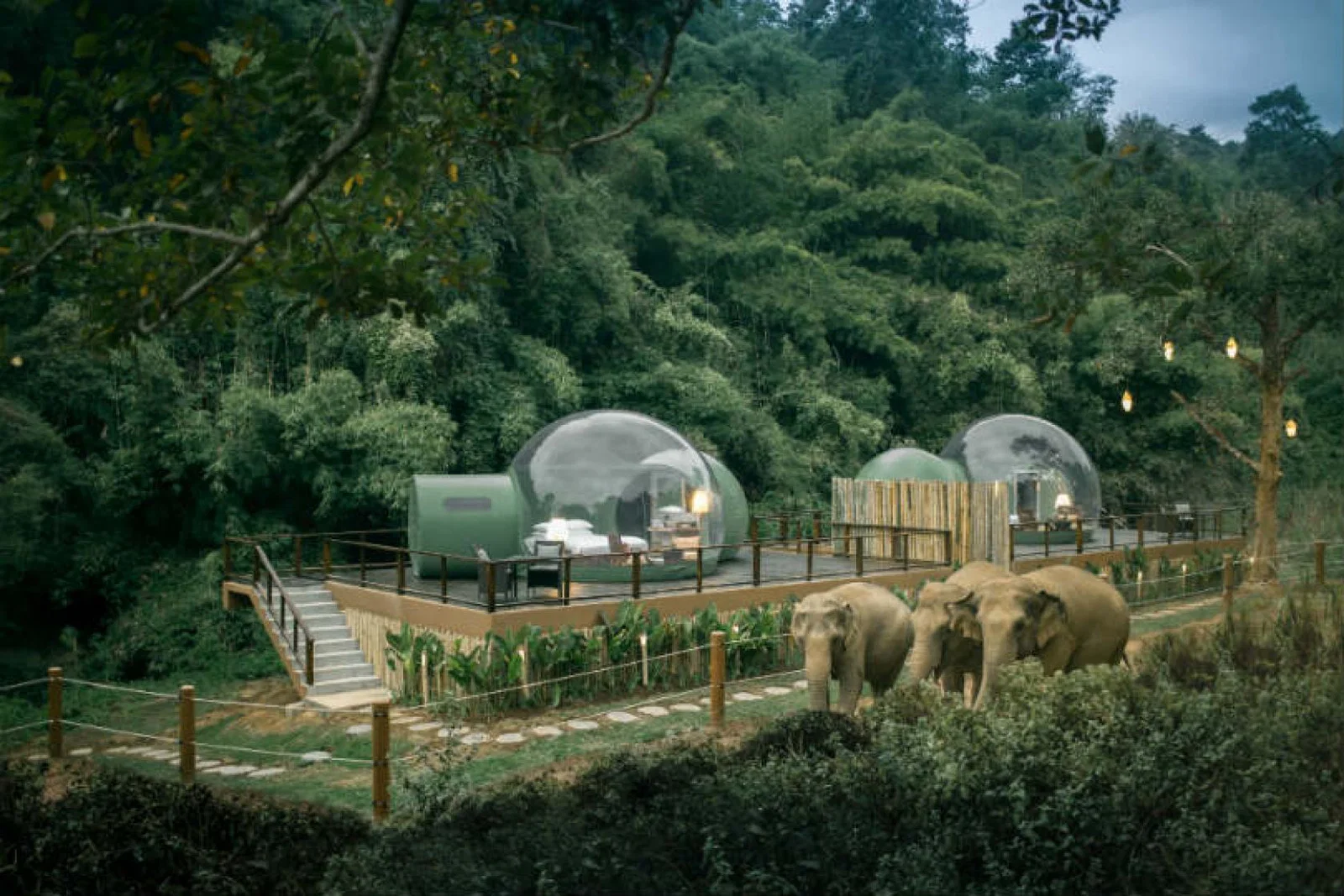 Anantara's Jungle Bubbles are fully air-conditioned