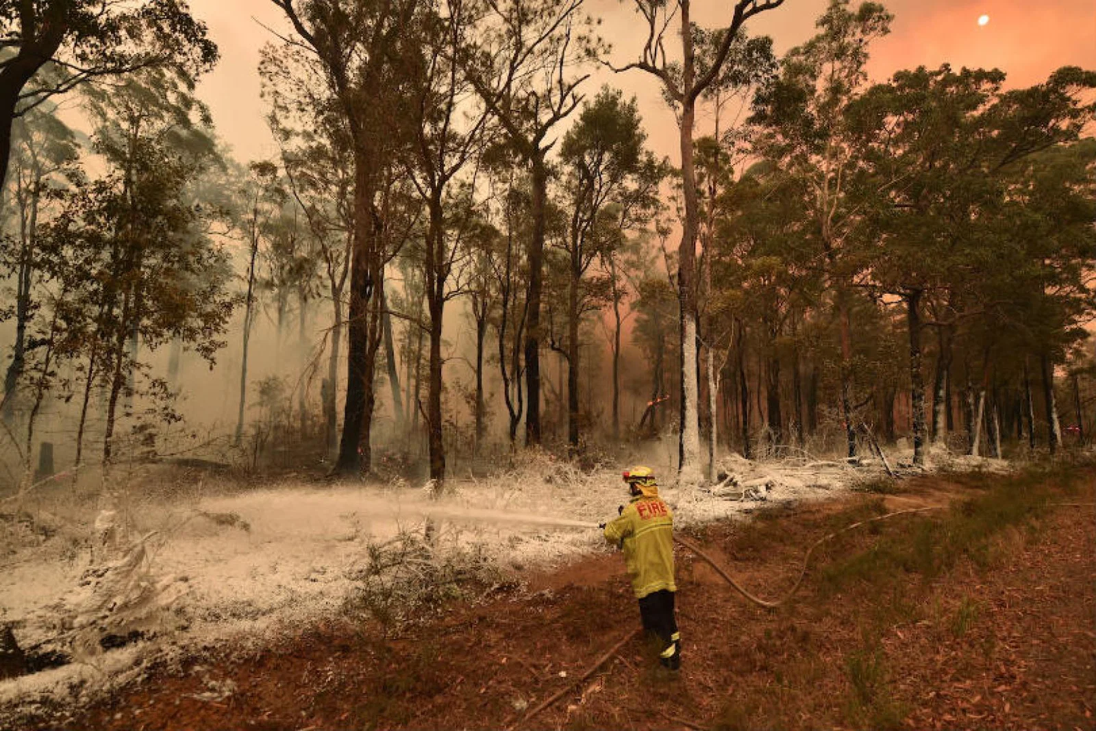Australia is currently in the midst of a bushfire crisis
