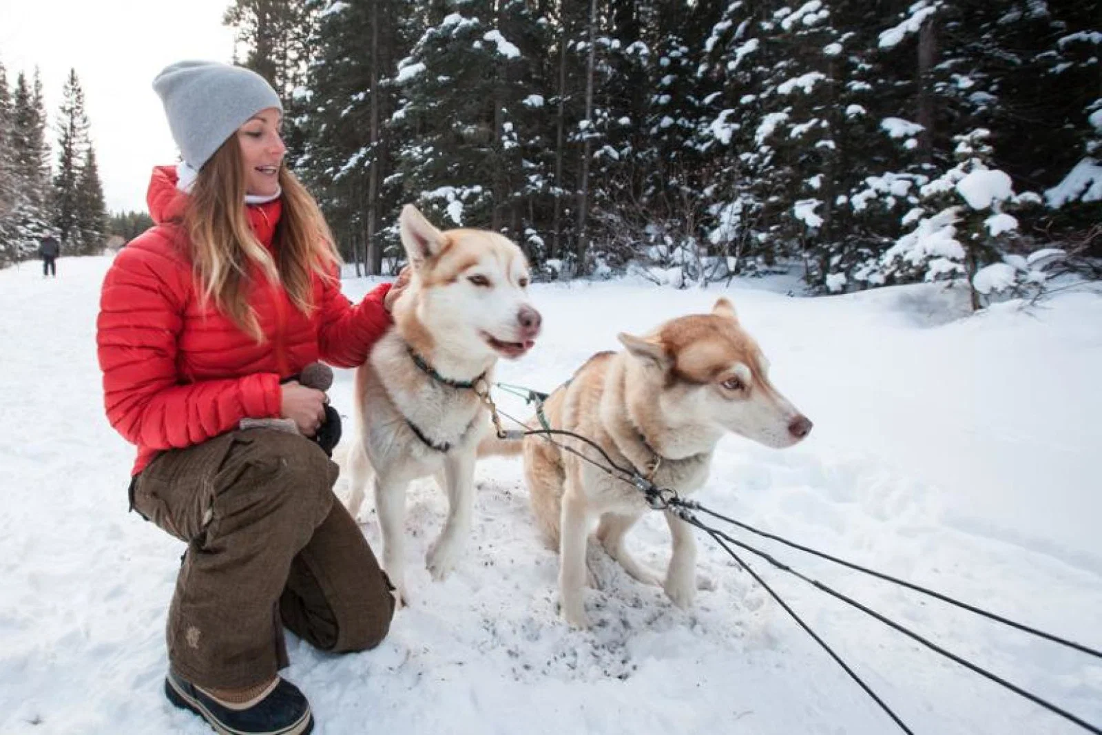 Dog-sledding with huskies is a popular winter activity in Canada
