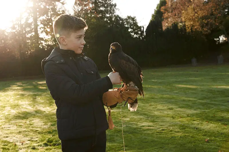 Gleneagles offers falconry for children