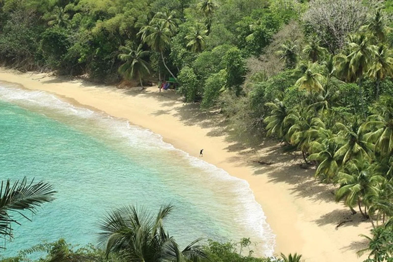 Englishmans Bay, Tobago