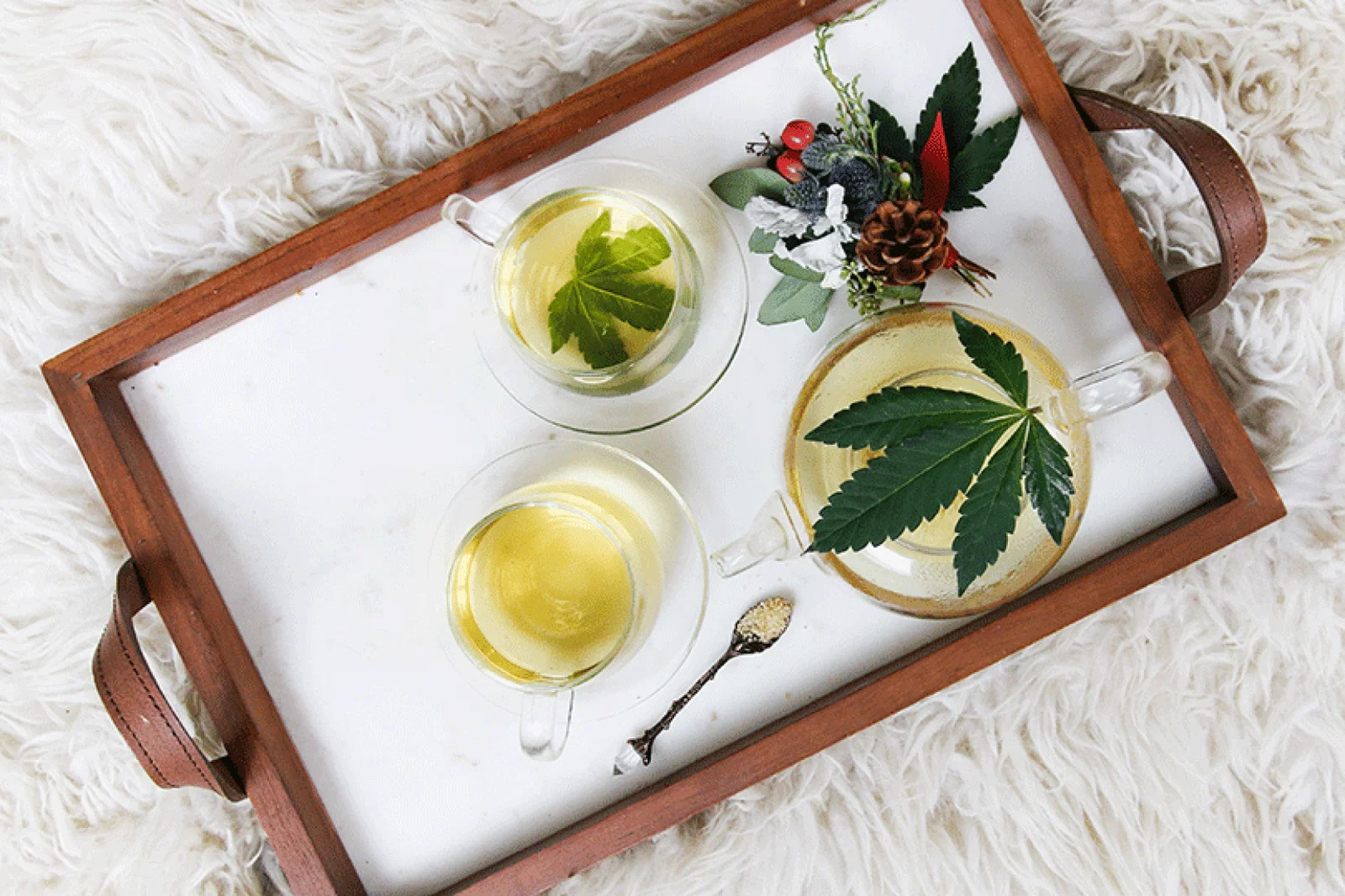 Cannabis tourism is on the rise (Credit: Kimzy Nanney / Unsplash)