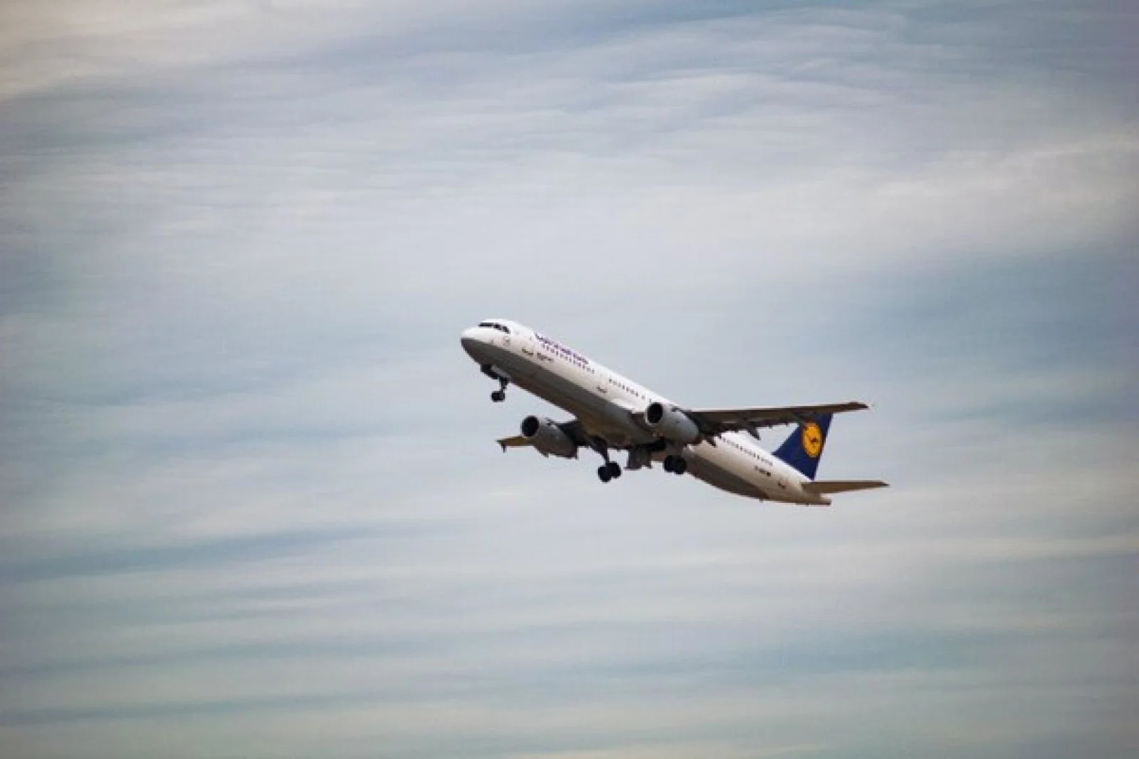 Lufthansa is axing two UK connections (Credit: Tim Dennert/Unsplash) 
