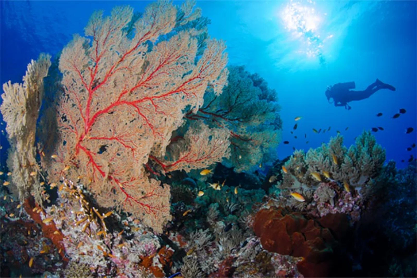 The Philippines wins two World Travel Awards