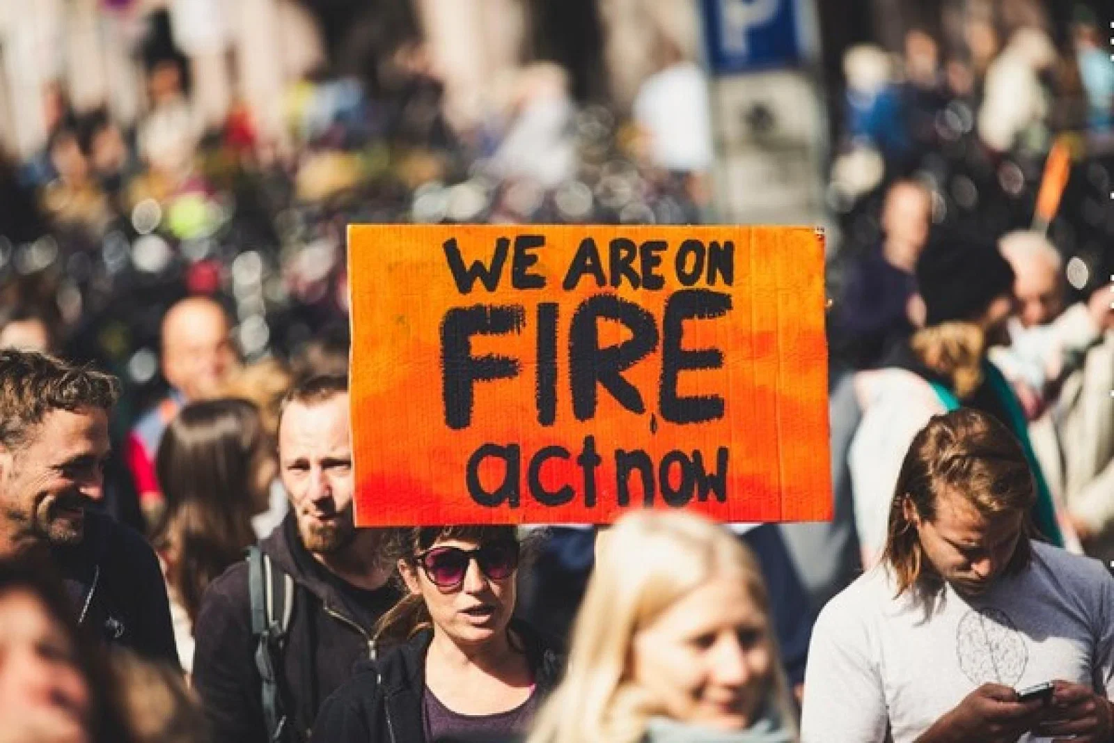 Climate Change Environment Sustainability (Credit: Markus Spiske / Unsplash) markus-spiske-cUhssb9roaU-unsplash.jpg