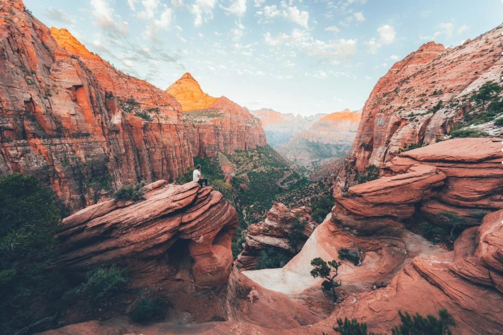 Most leisure bookings made during week commencing 8 November were for US departures in January (Credit: VisittheUSA.com)