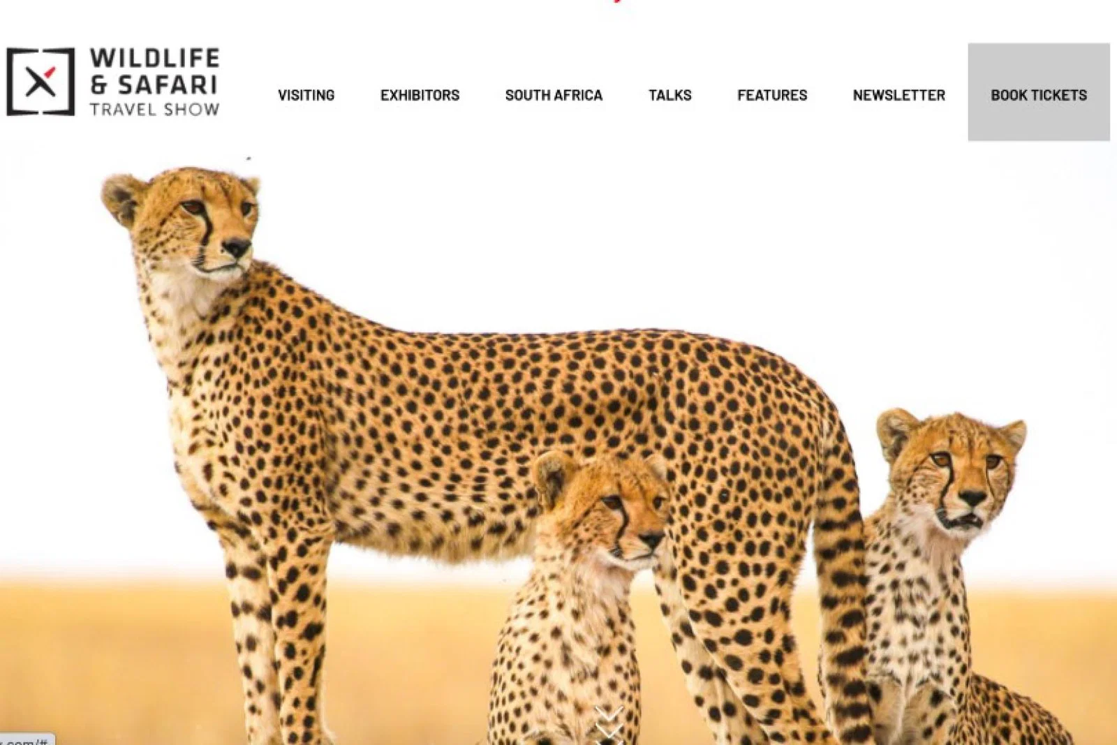 Wildlife and 'grown up' travel shows offer early bird rates for TTG+ members