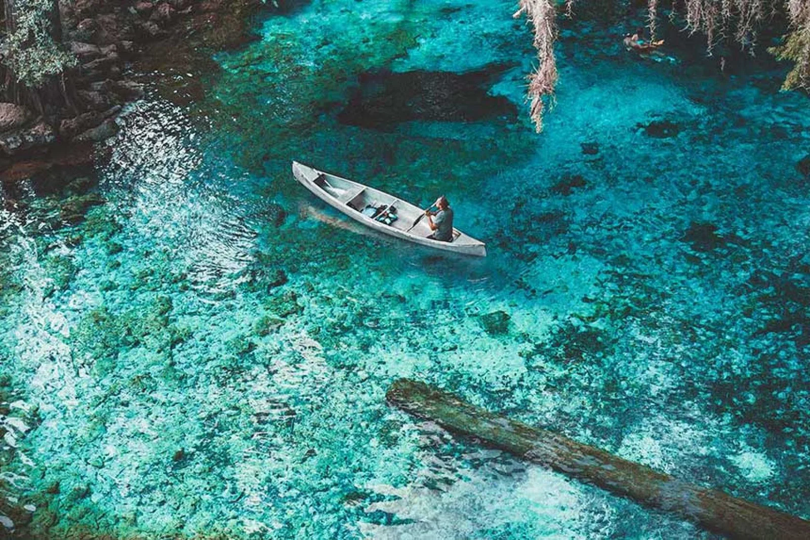 Visit Florida had already exceeded its 2019 domestic visitor levels by 6% in the first six months of 2021 