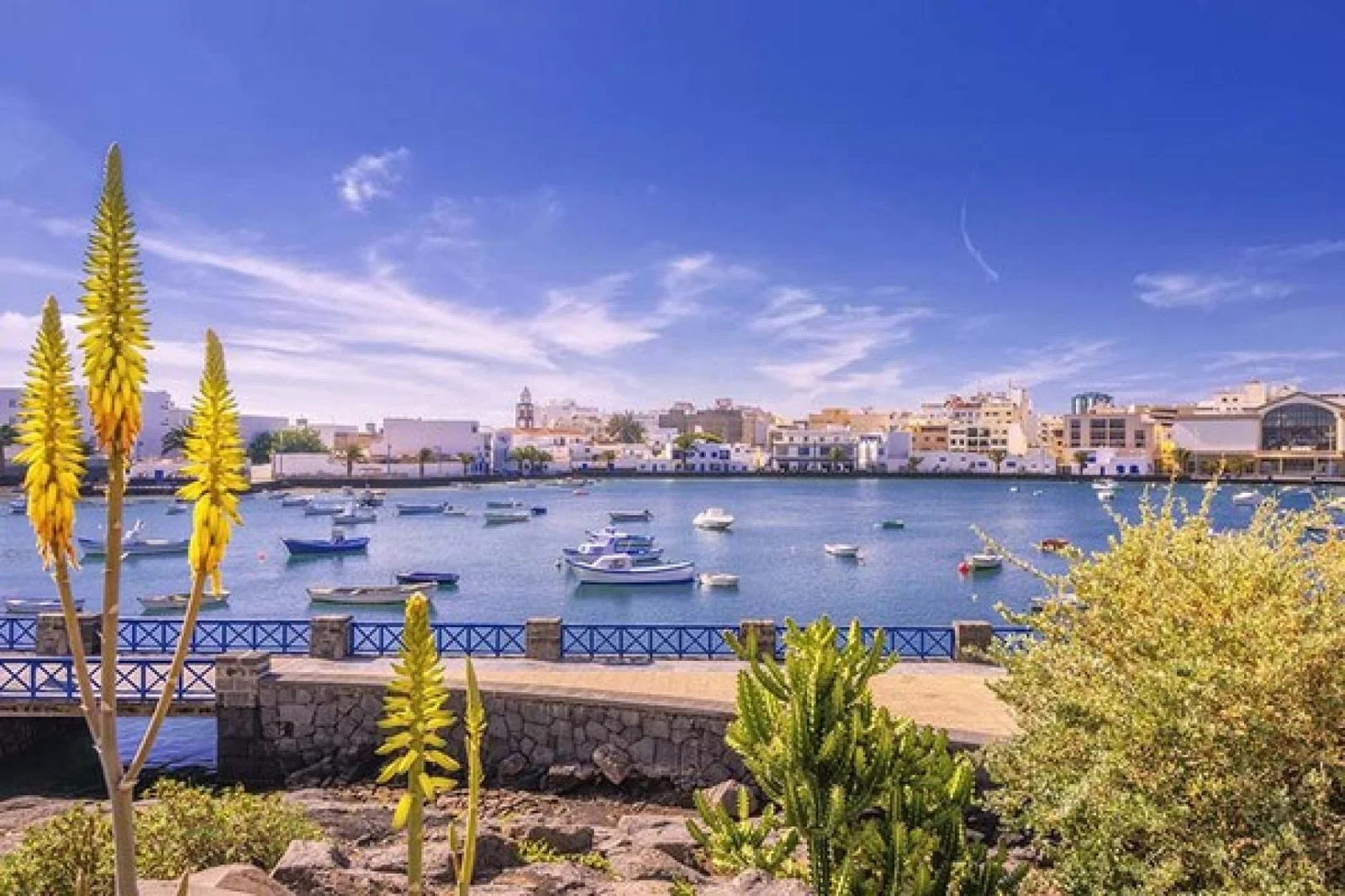 Lanzarote and the Canary Islands iStock-510850574 web.jpg