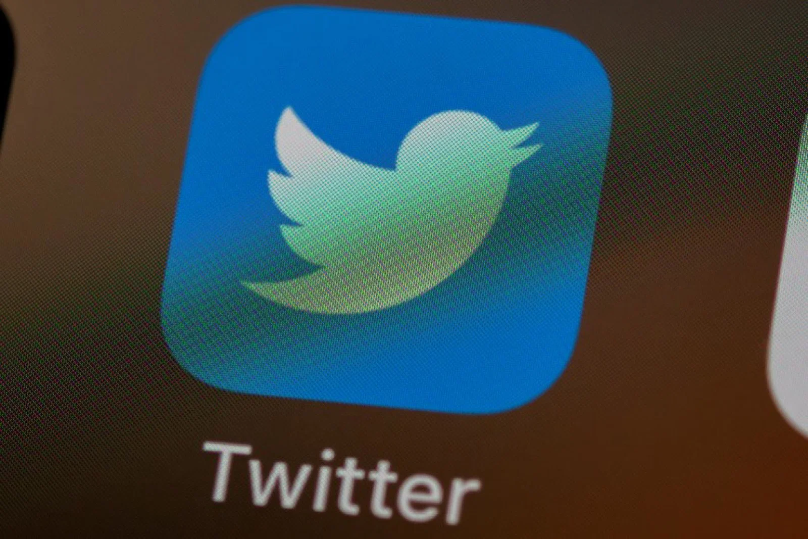 The Twitterstorm will take place at 2pm on Tuesday (Credit: Brett Jordan / Unsplash)