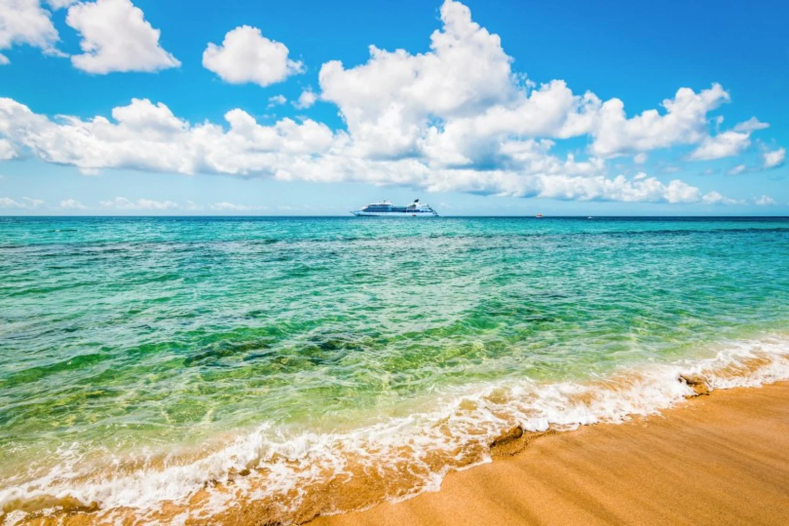 Resilient cruisers have helped specialist cruise agencies turn the tide on Omicron uncertainty