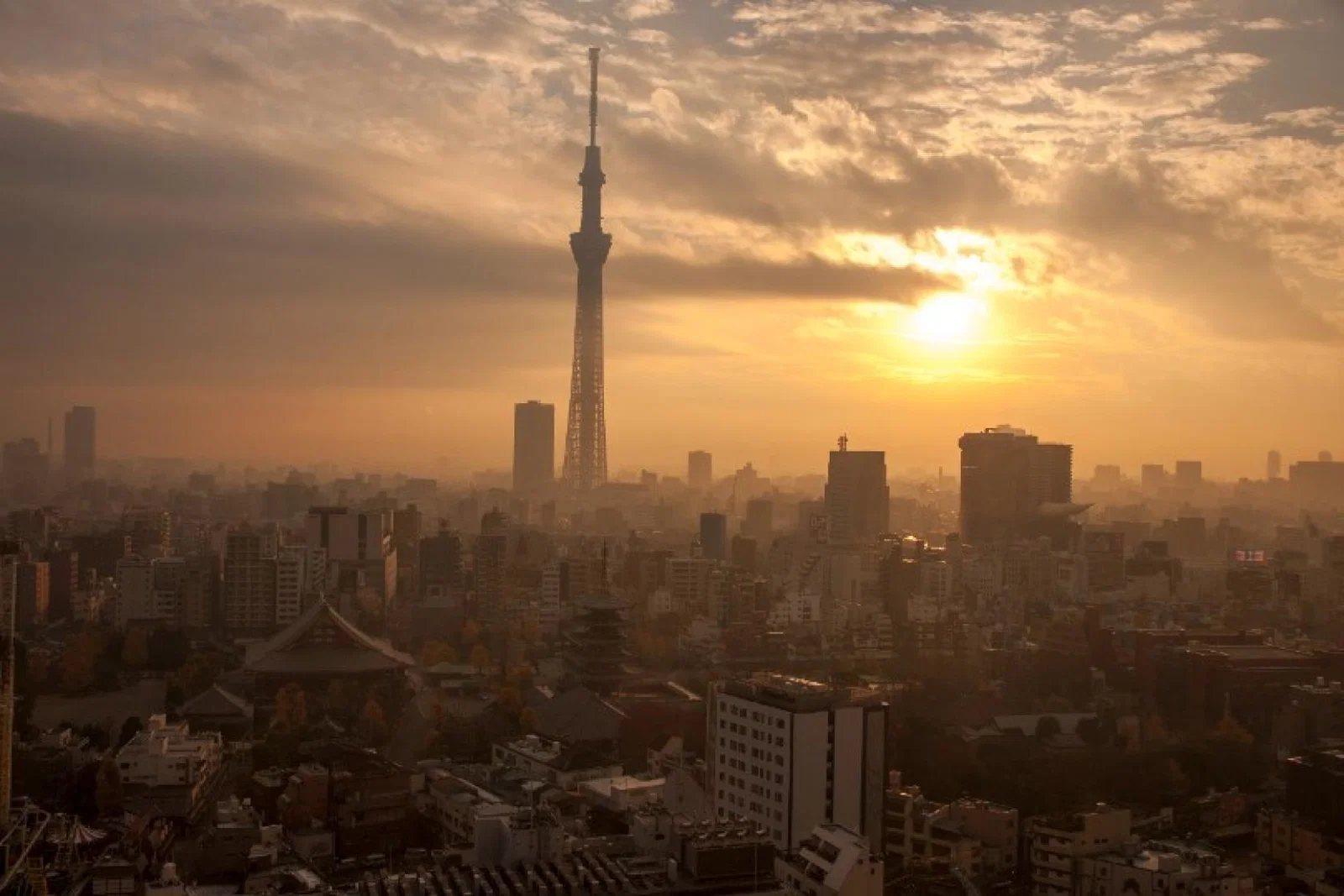 Tokyo Skyline (Credit: InsideJapan Tours)