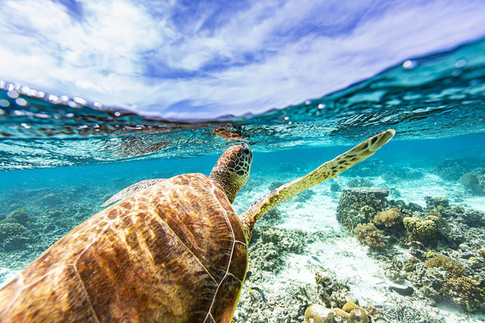 How a Sandals holiday helps clients and agents give back to Caribbean communities