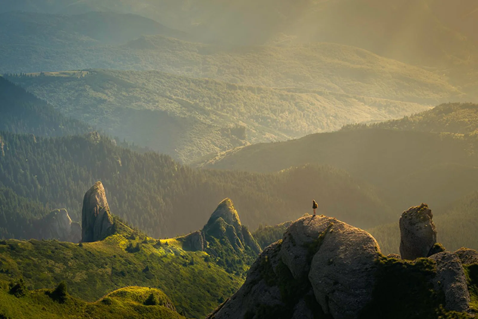 A greater understanding of human impact on nature is required (Image: David Marcu, Unsplash)