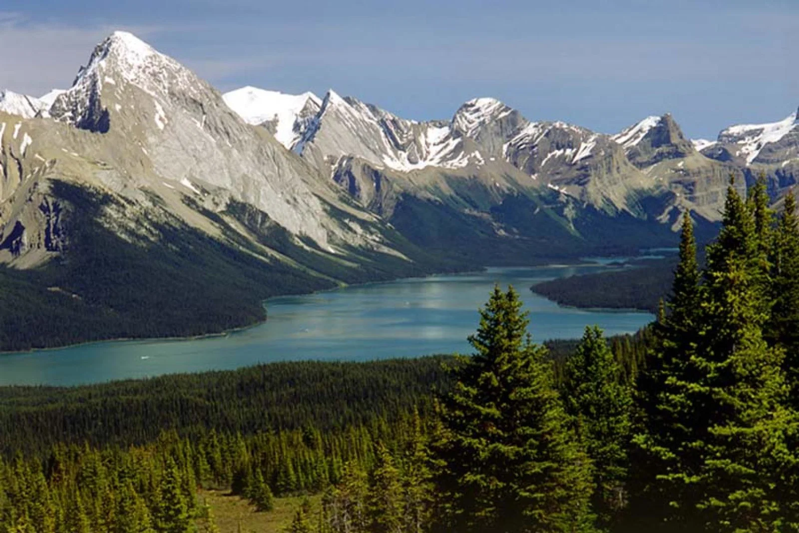 Competition: WIN ONE OF FIVE ‘BLACK BEAR’ TRAVEL PILLOWS WITH TRAVEL ALBERTA