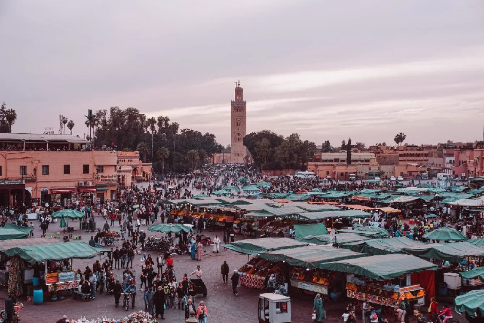 (Credit: Beatrice Sana / Unsplash)